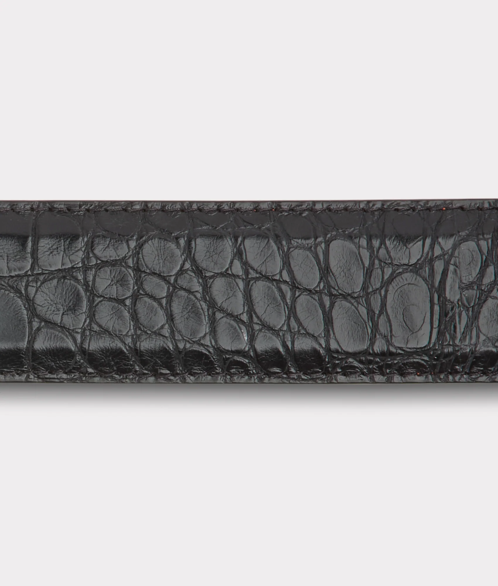 American Alligator :: Black - Image 4