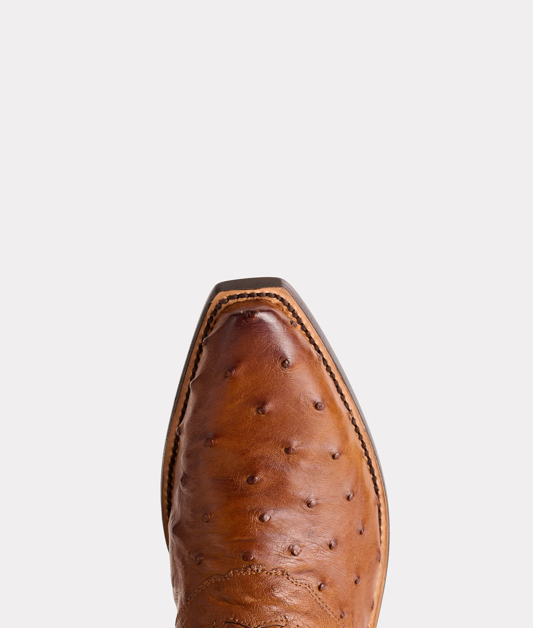 Augusta :: Tan + Camel - Image 7