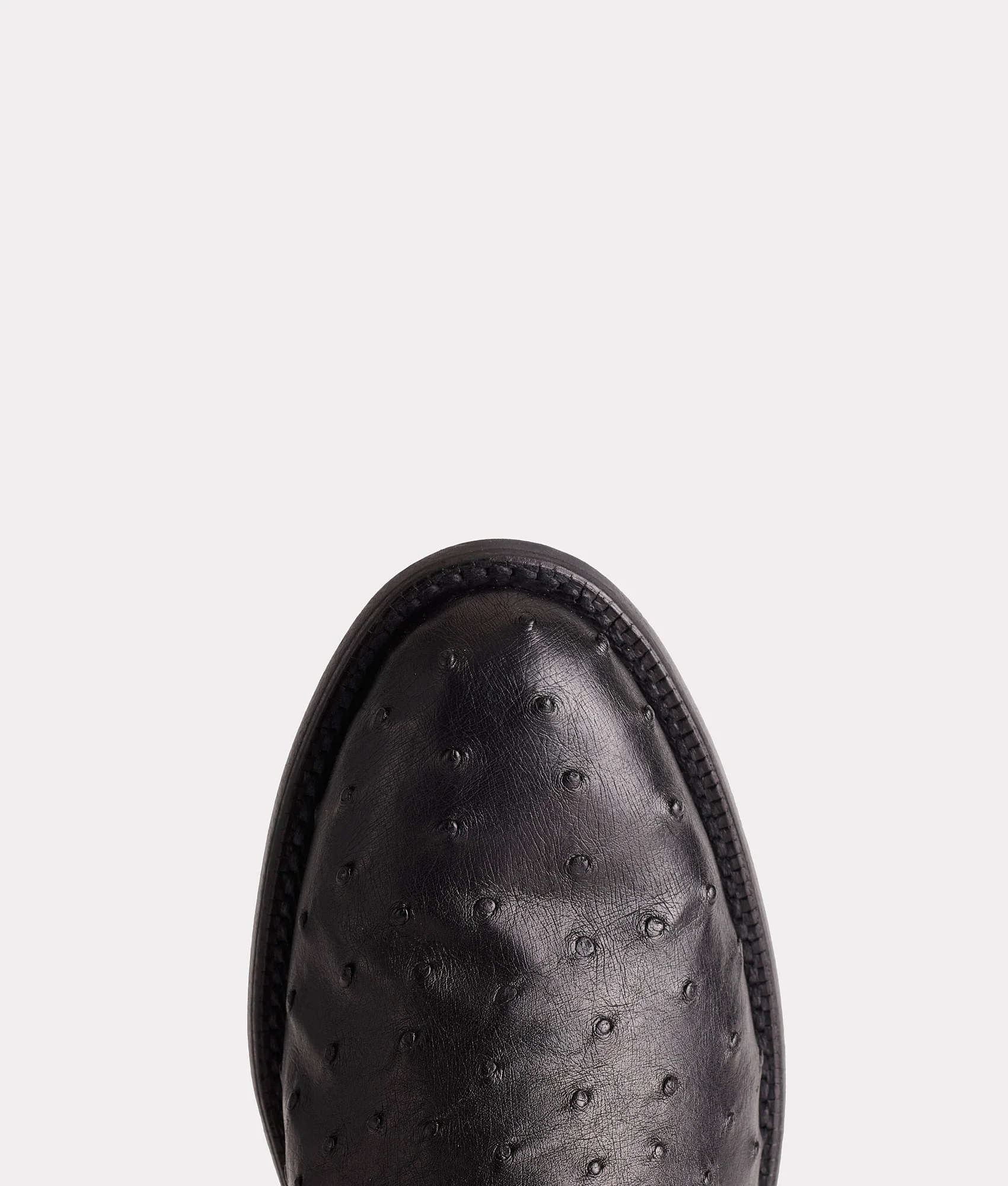 Augustus :: Black - Image 7