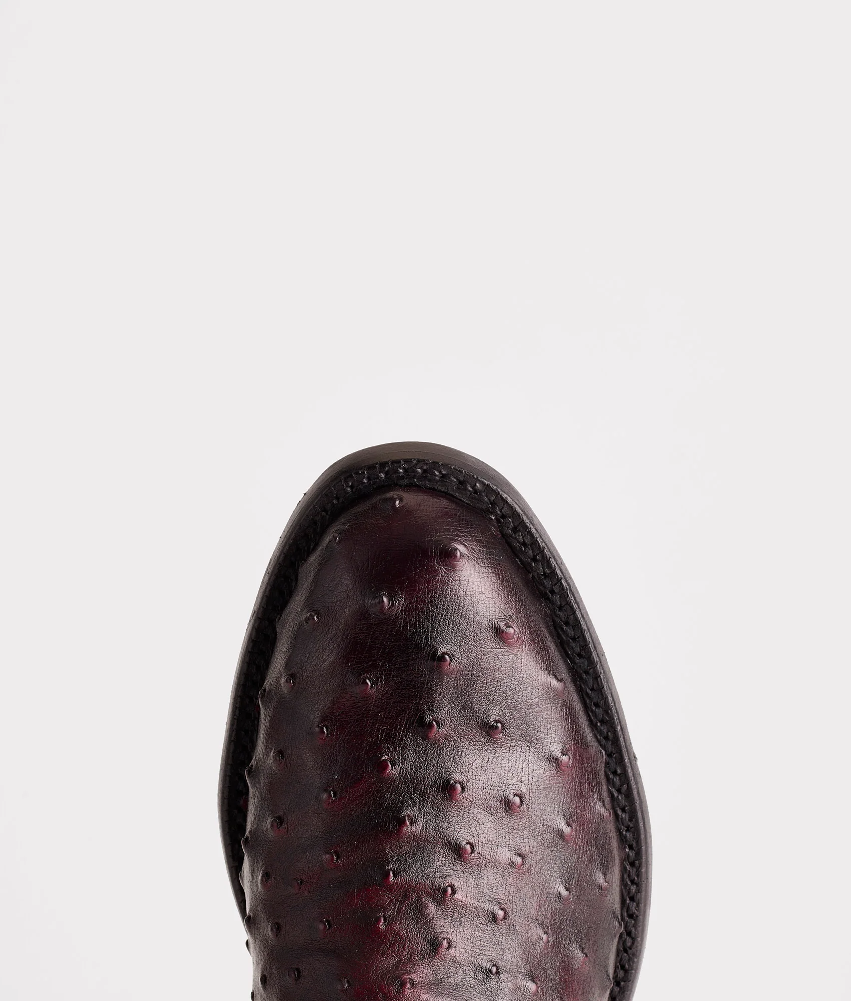 Augustus :: Black Cherry - Image 8