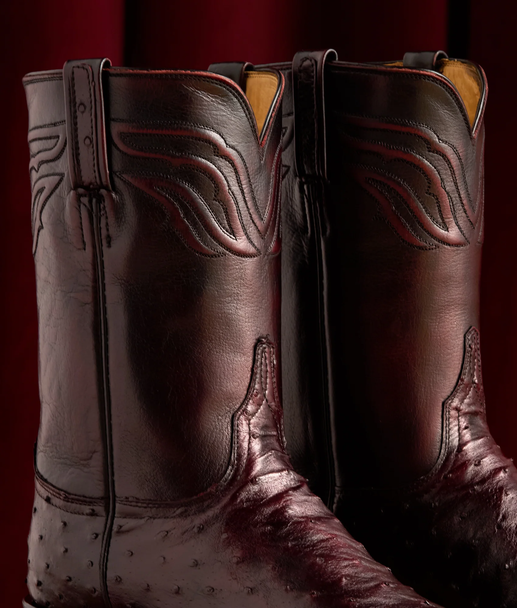 Augustus :: Black Cherry - Image 9