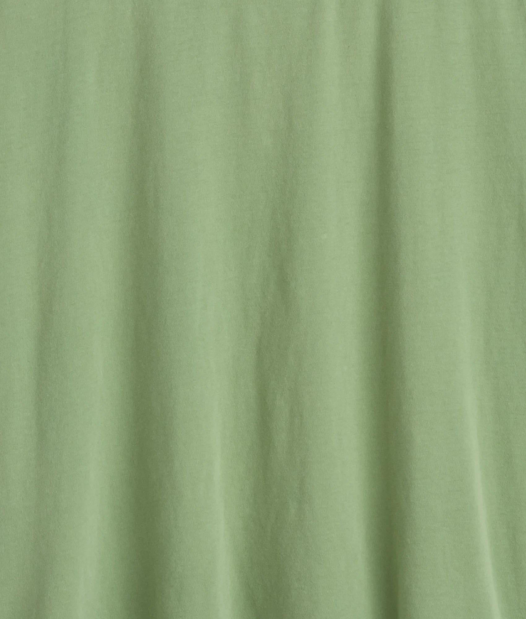Cody Short Sleeve :: Sage - Image 10