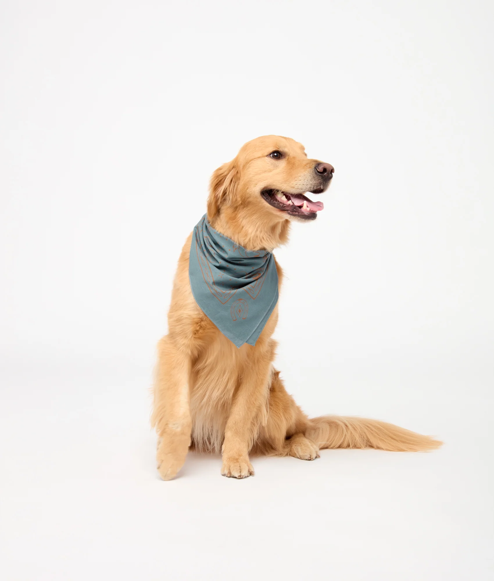 Western Bandana :: French Blue - Image 4