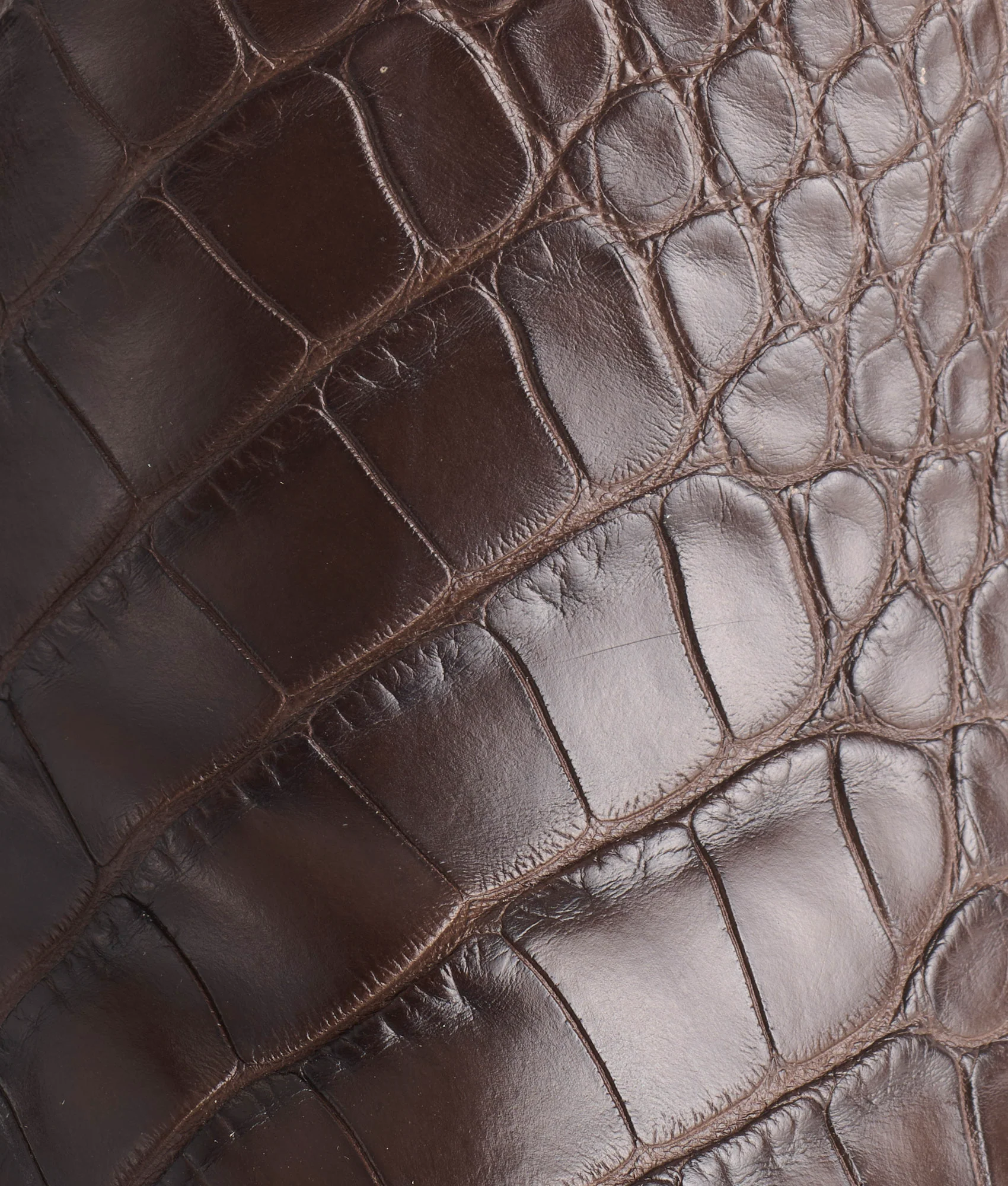 Baron :: Chocolate - Image 8