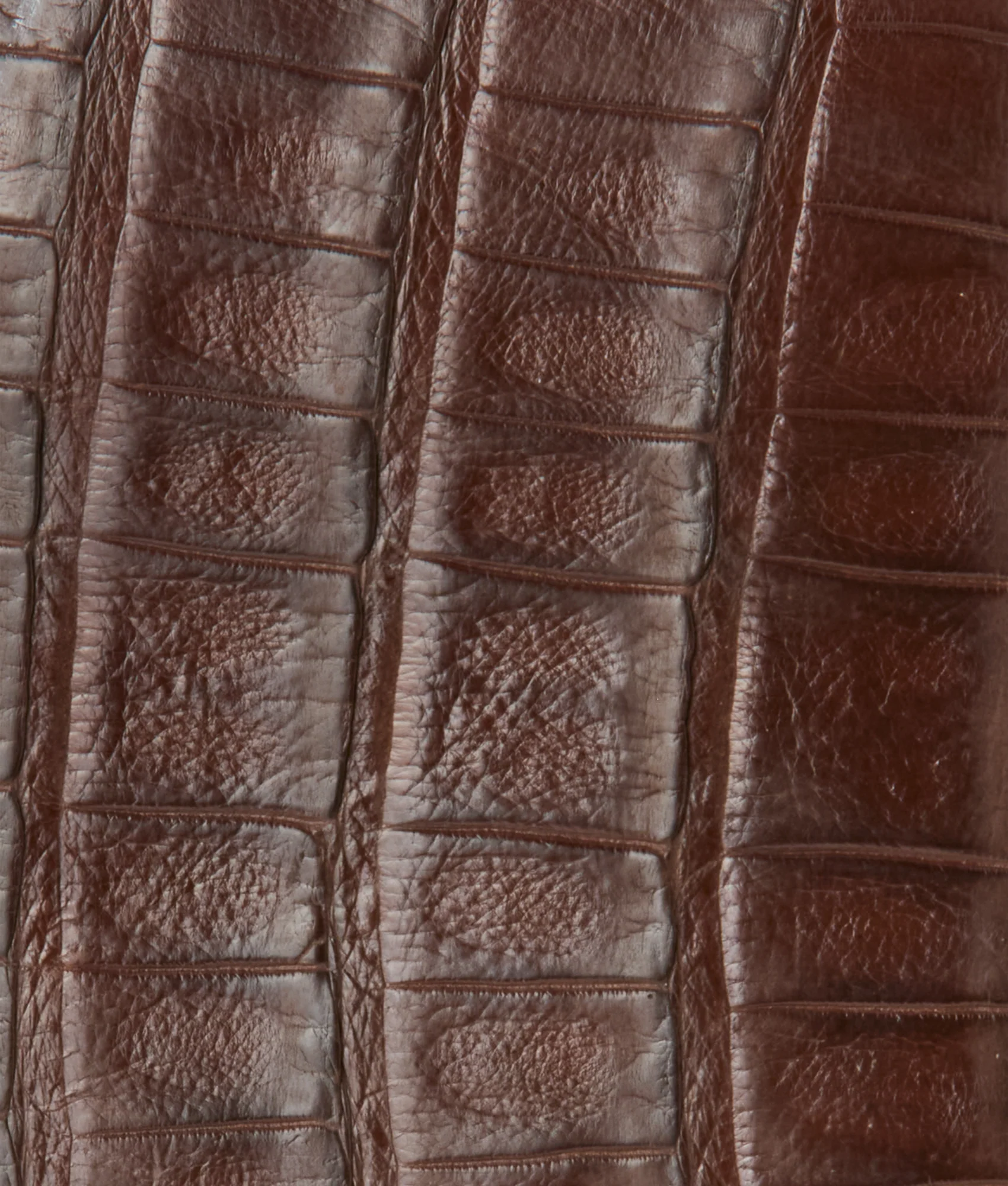 Bifold Wallet – Crocodile :: Sienna - Image 4