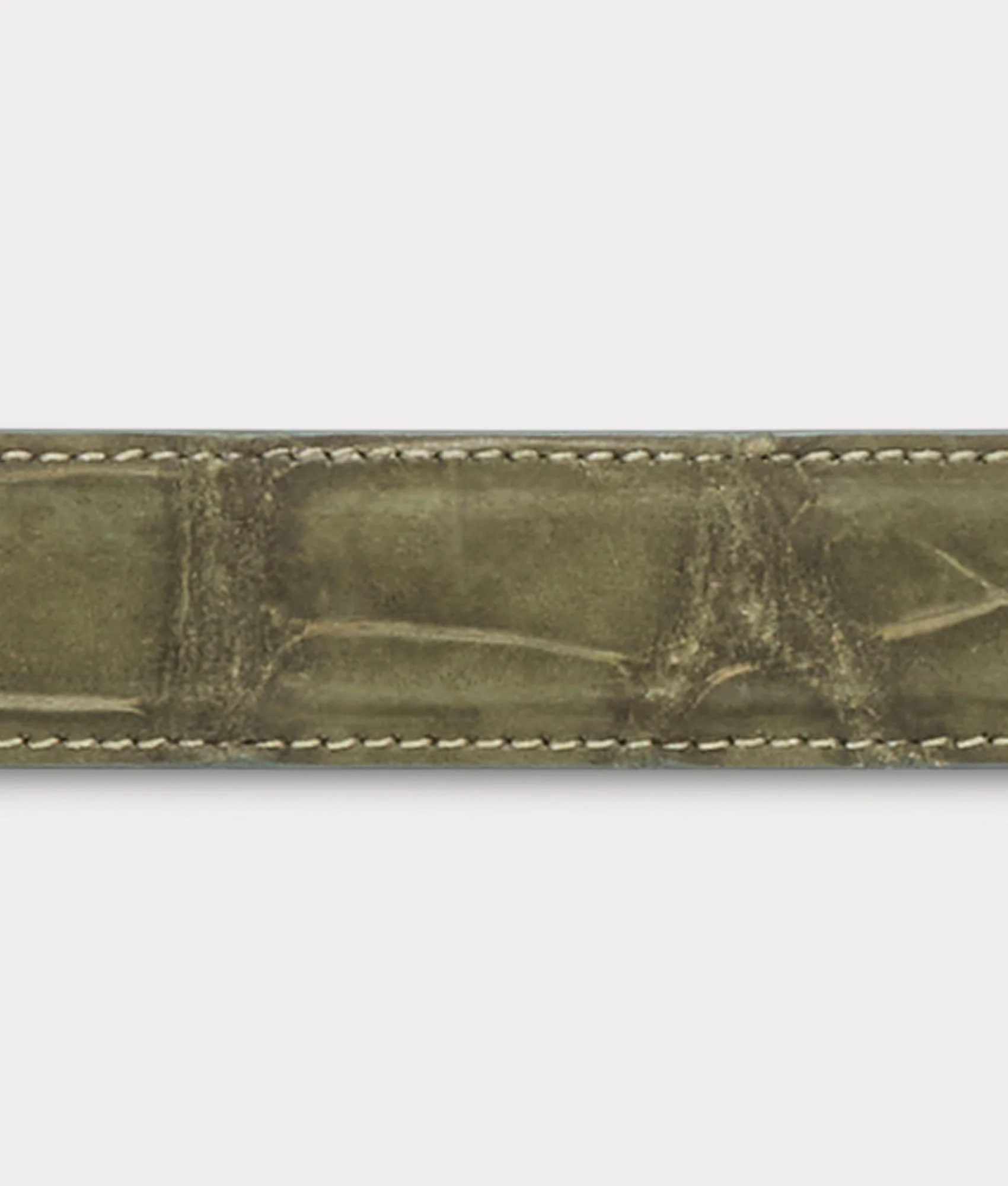 Big Ole Al Belt :: Olive - Image 5