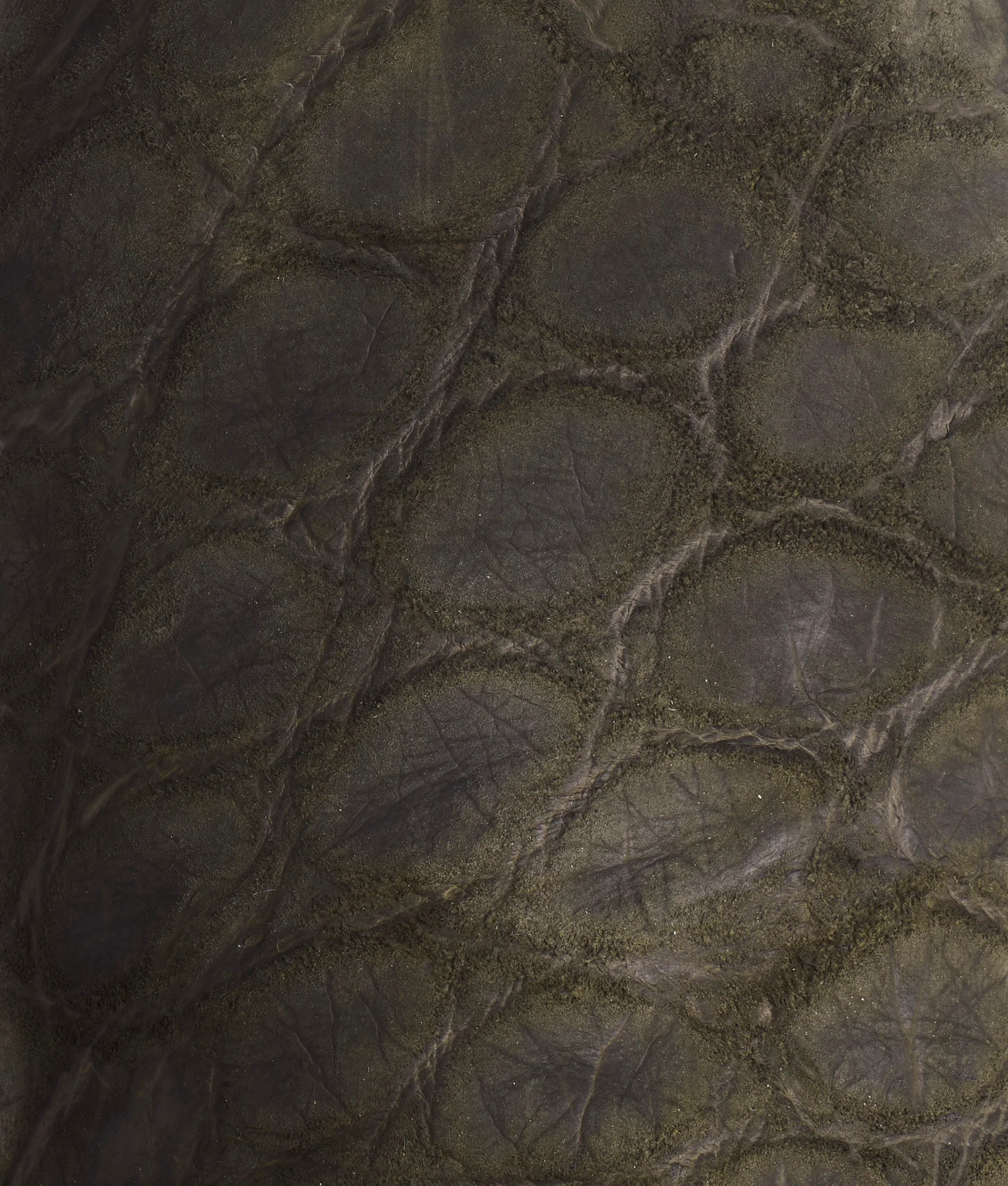 Big Ole Al :: Olive - Image 9