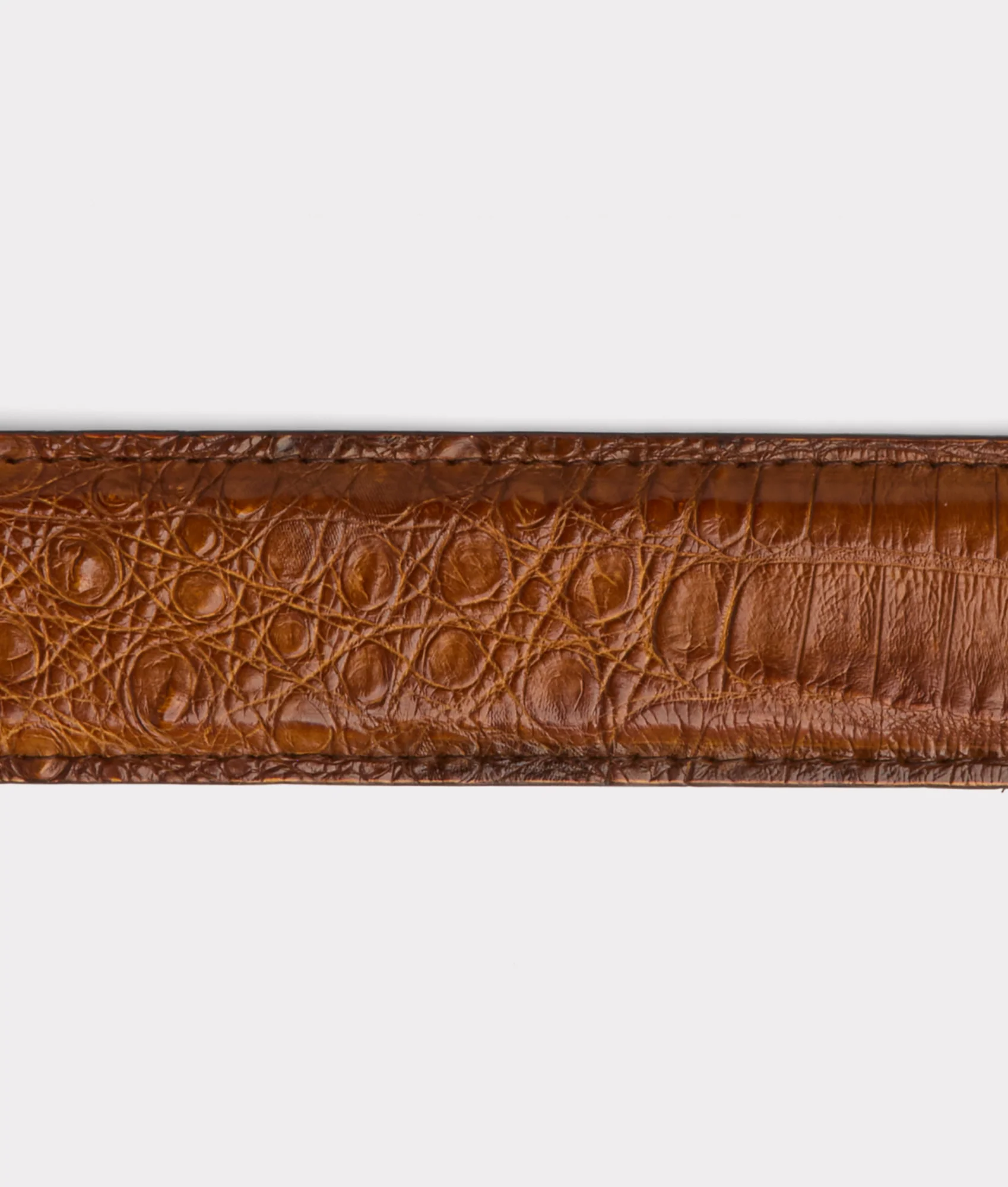 Buckaroo Belt :: Cognac - Image 4