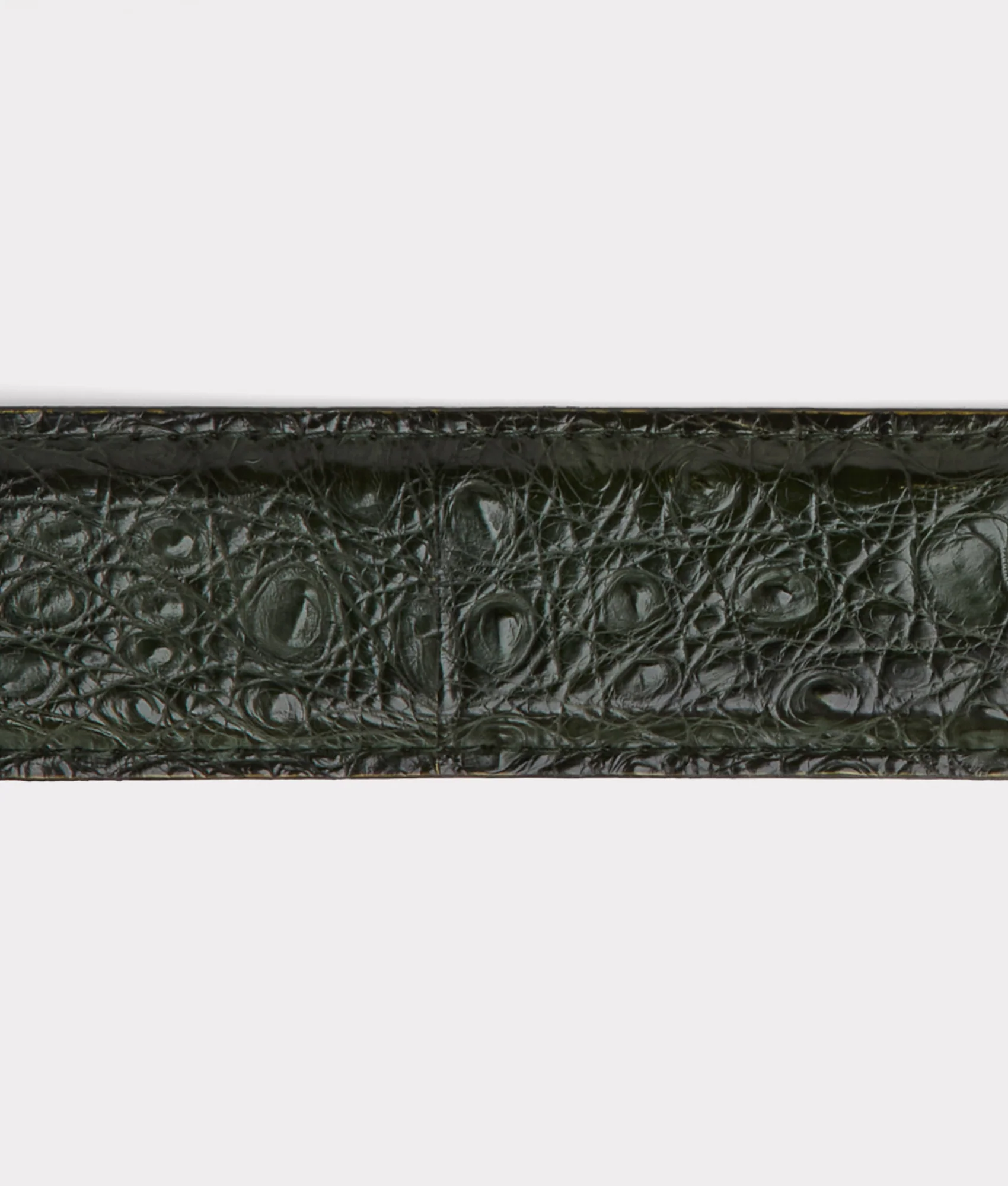 Buckaroo Belt :: Jungle Green - Image 4