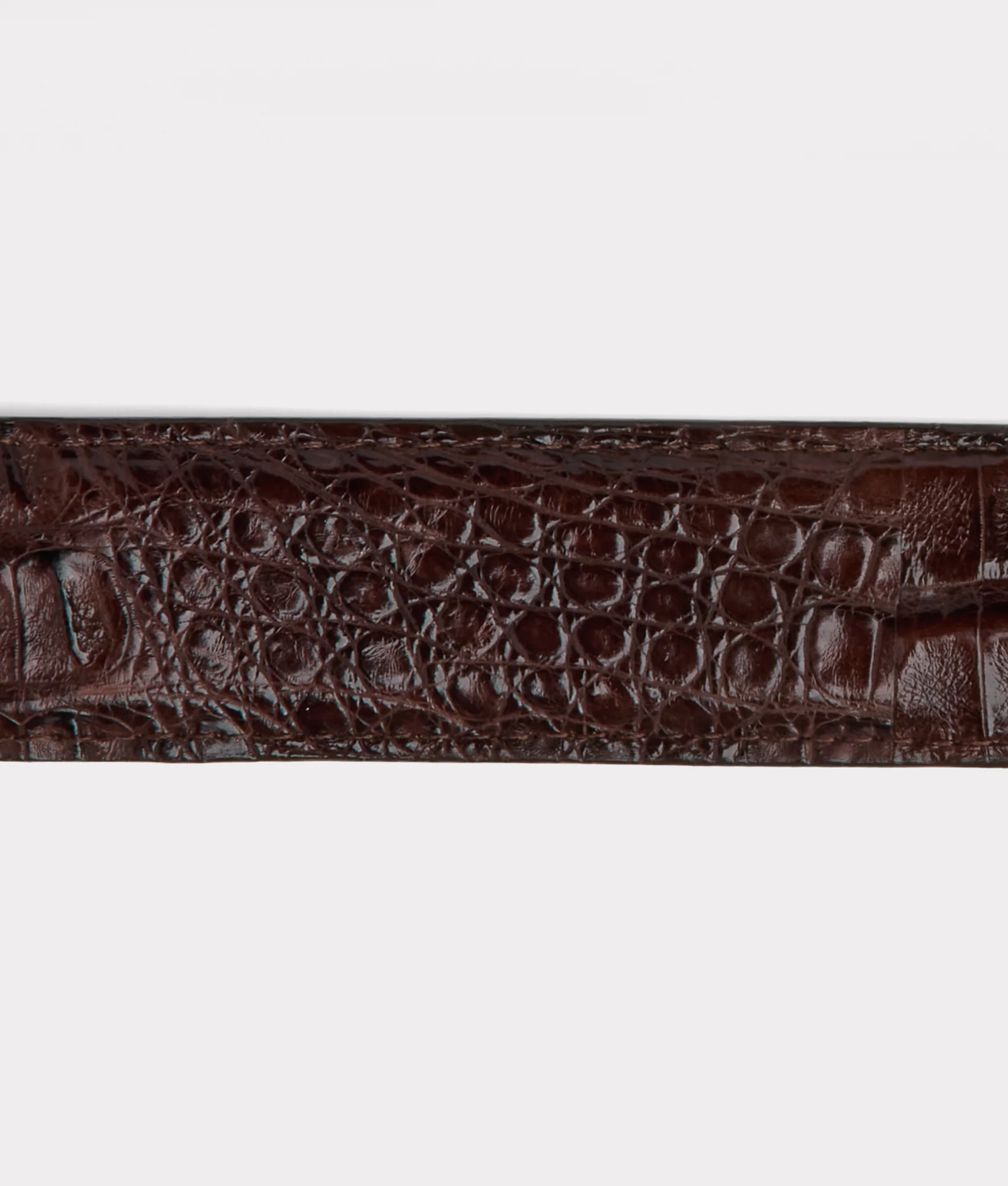 Buster Belt :: Chocolate - Image 4