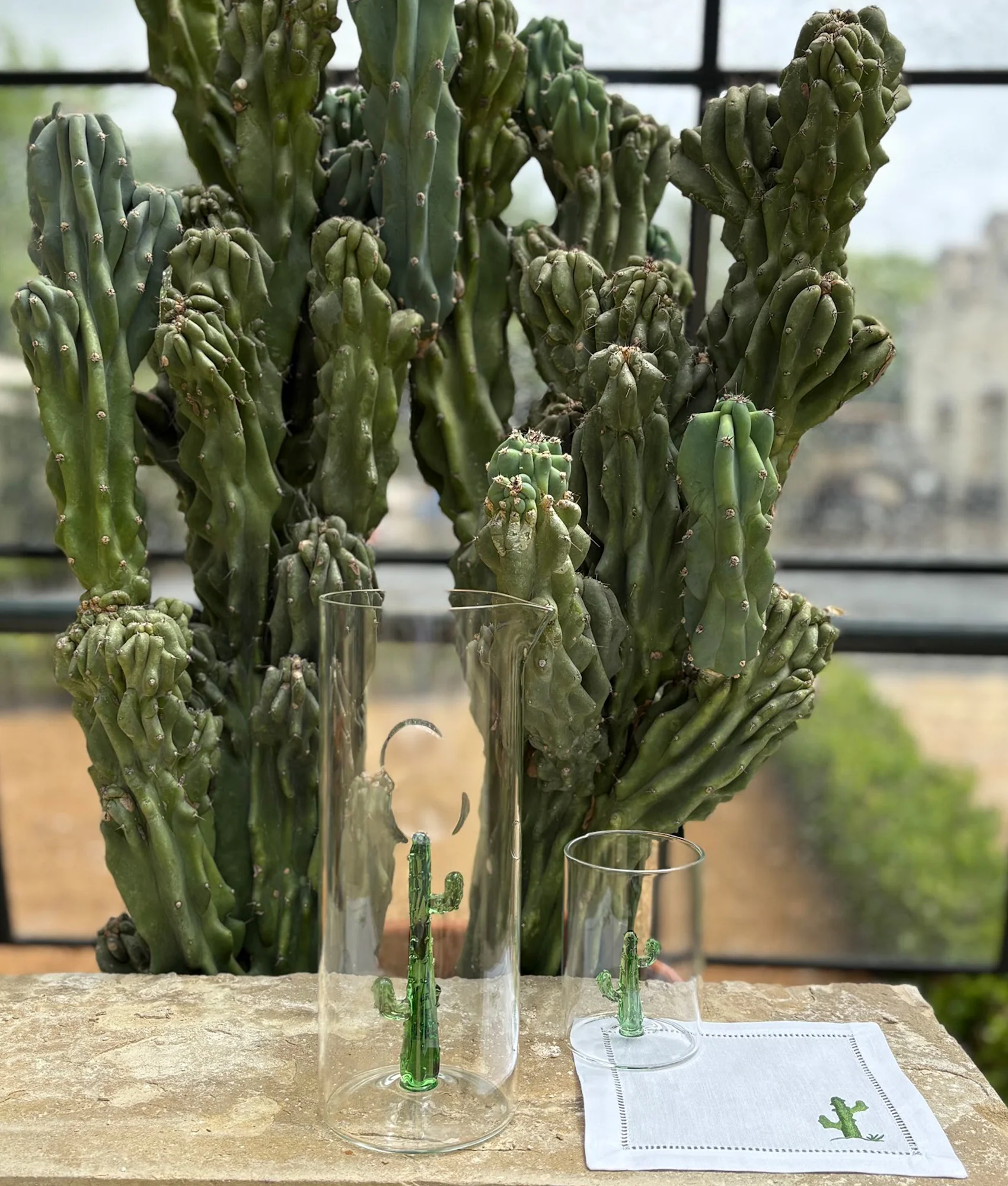 Cactus Pitcher :: Green - Image 2
