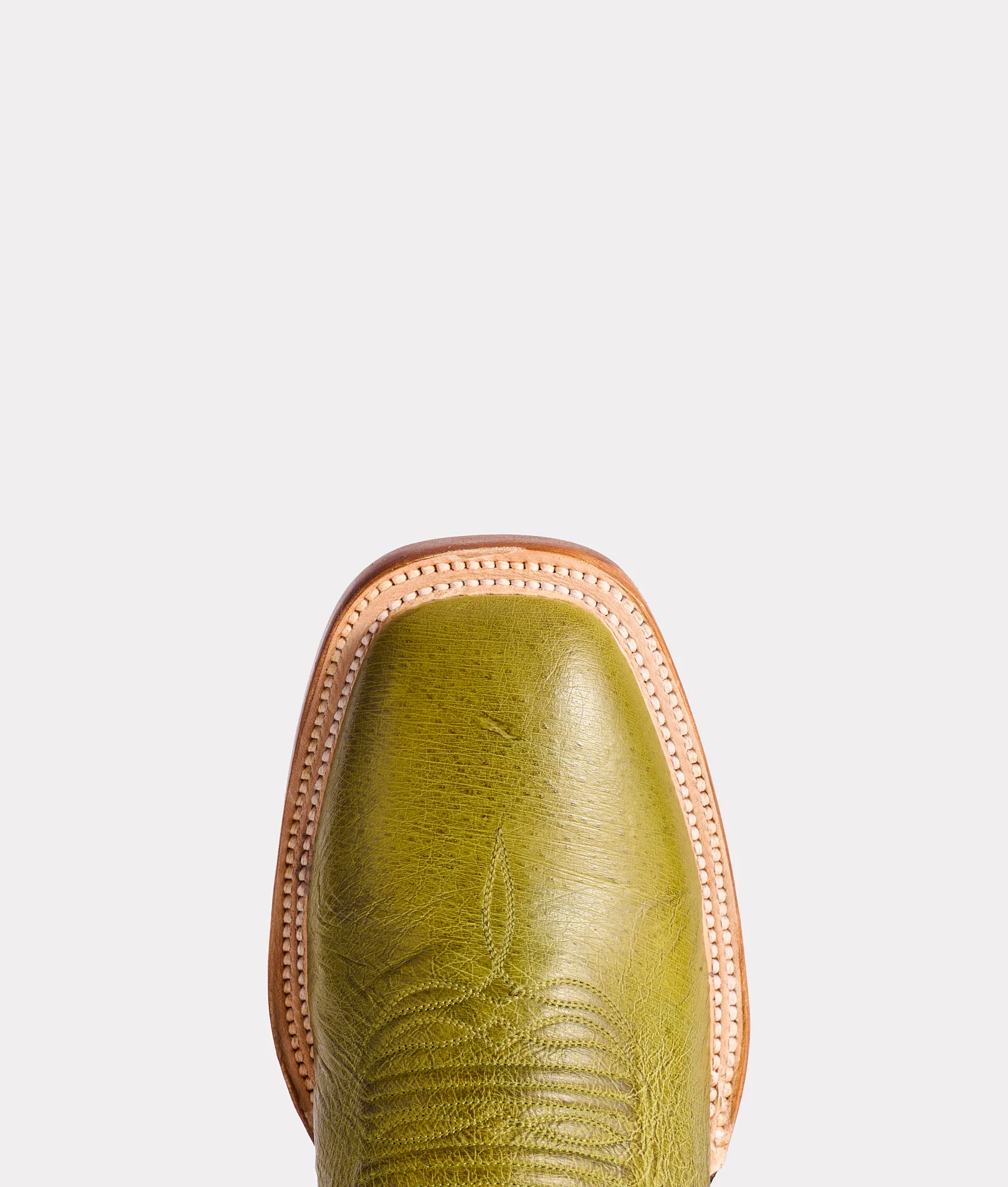 Cecil Exotic :: Fern - Image 7