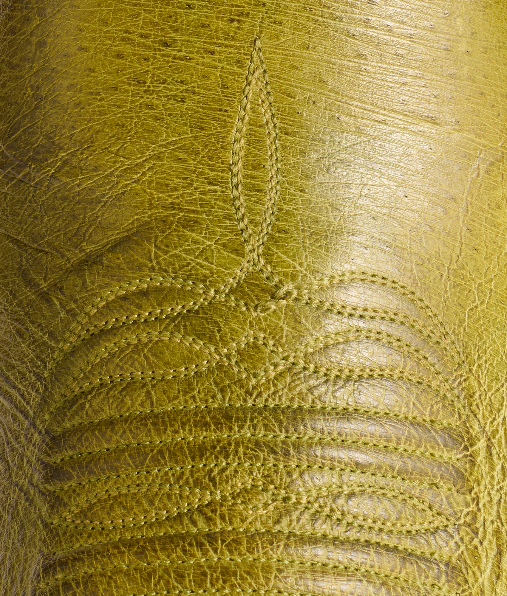Cecil Exotic :: Fern - Image 8