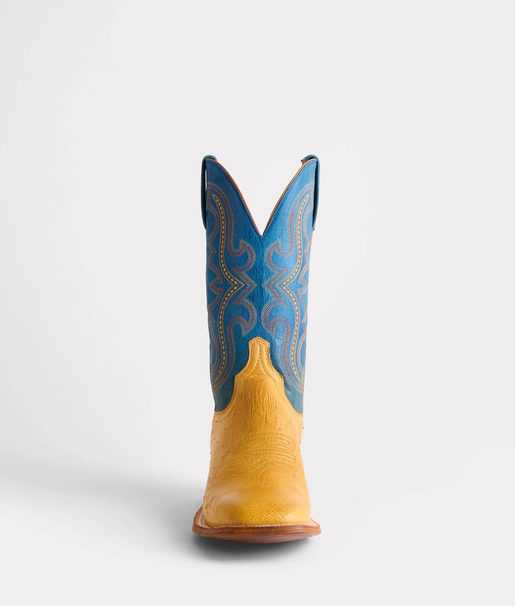 Cecil Exotic :: Saddle - Image 4
