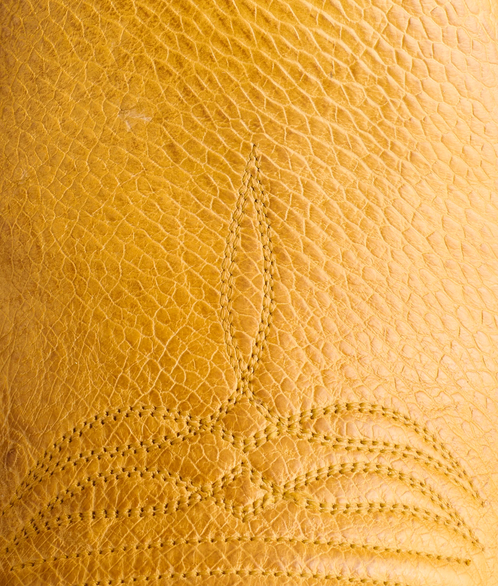 Cecil Exotic :: Saddle - Image 8