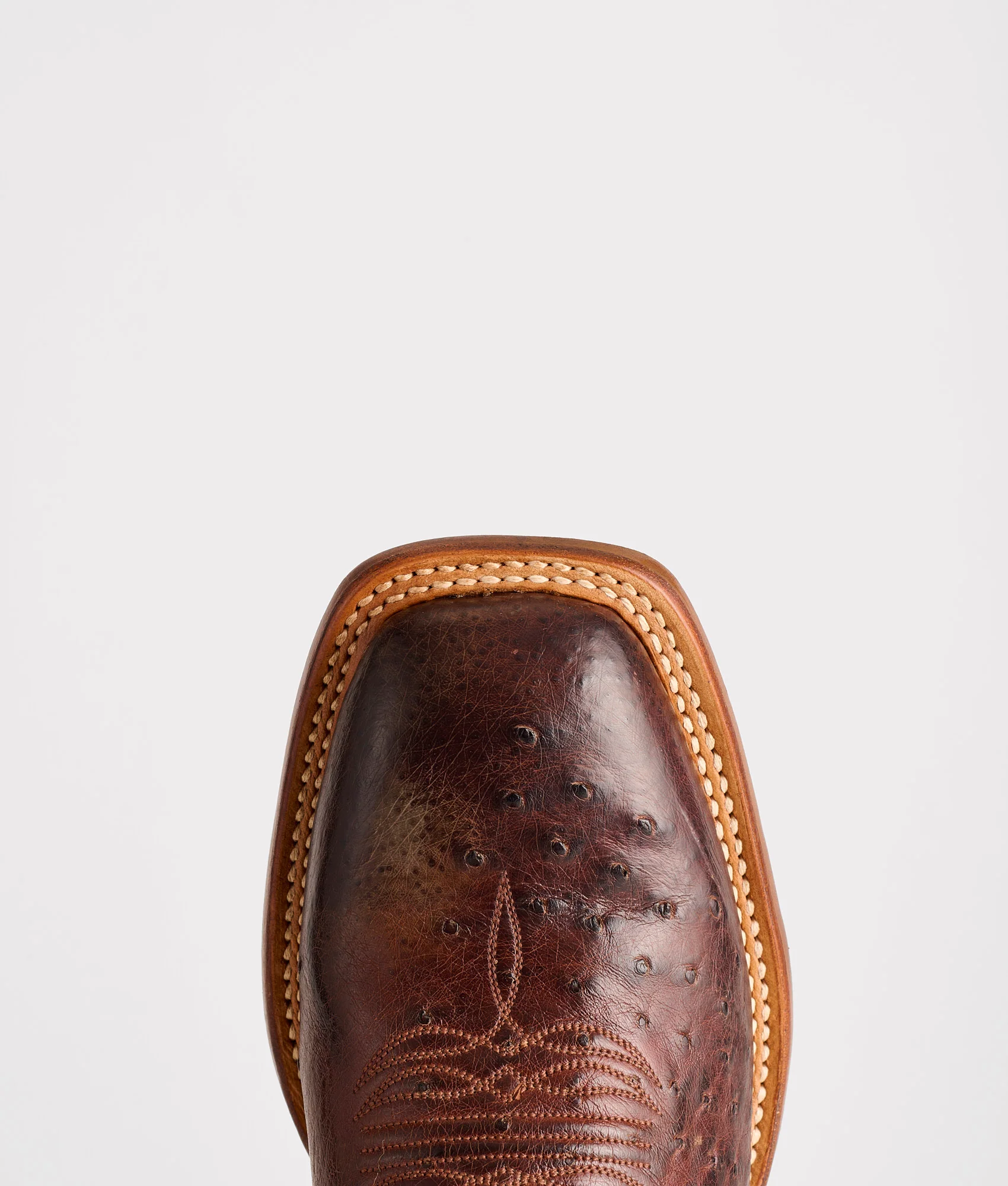 Cecil Exotic :: Sienna/Brown - Image 6