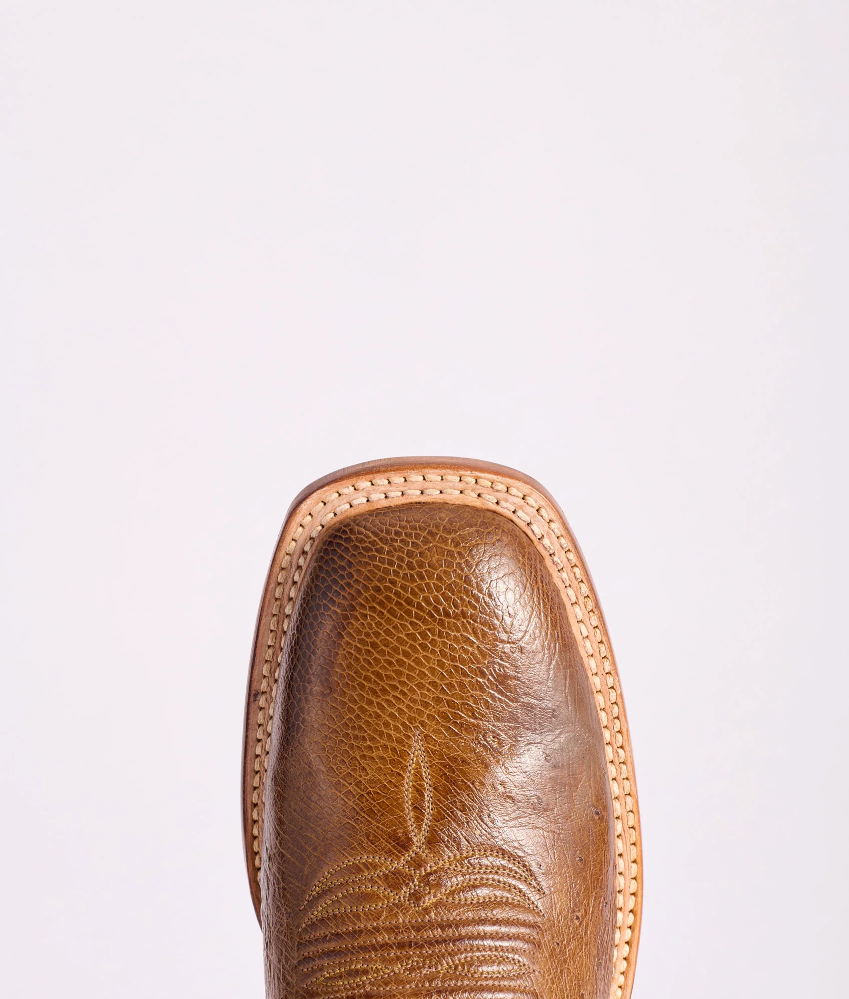 Cecil Exotic :: Sienna - Image 7