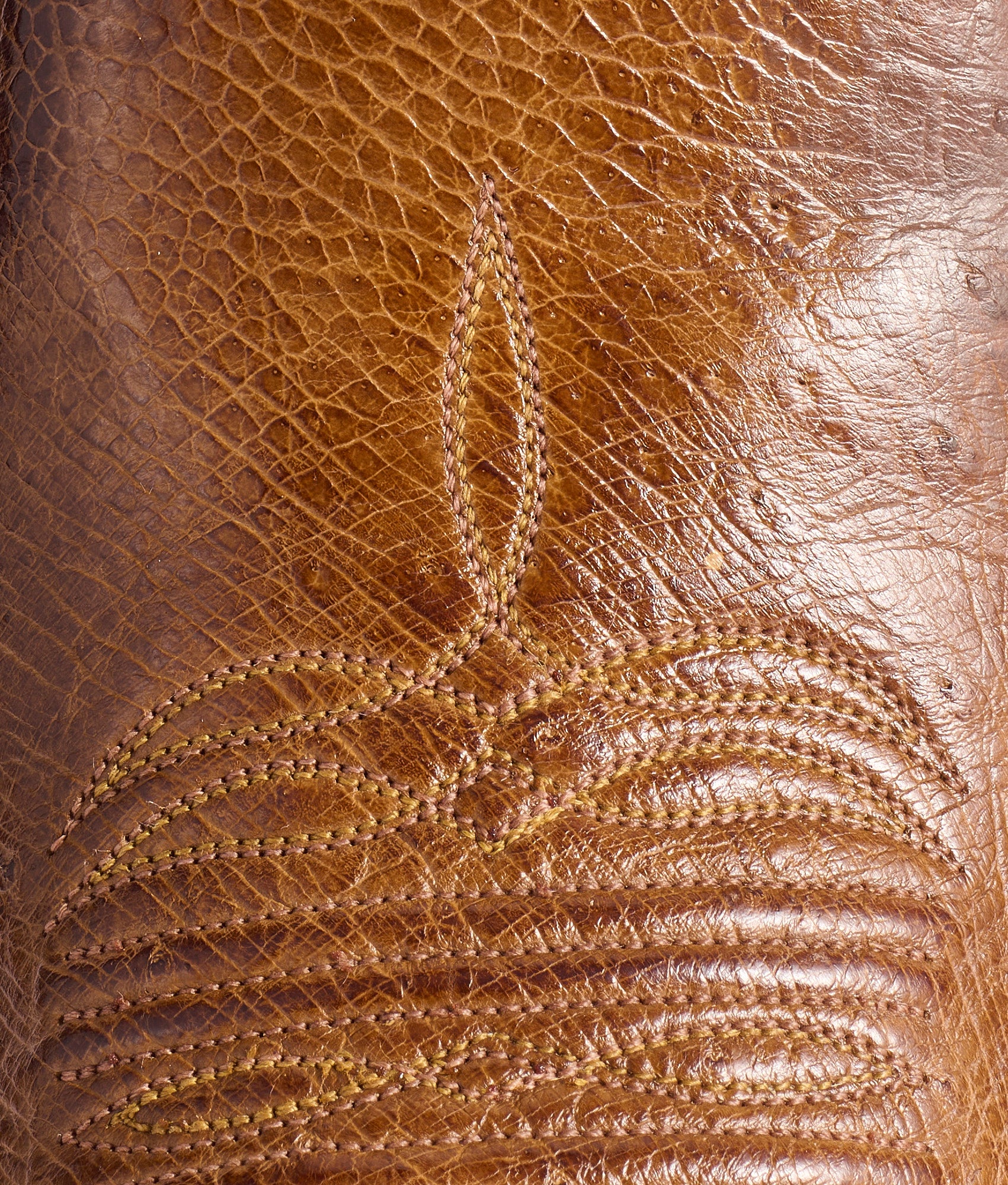 Cecil Exotic :: Sienna - Image 8