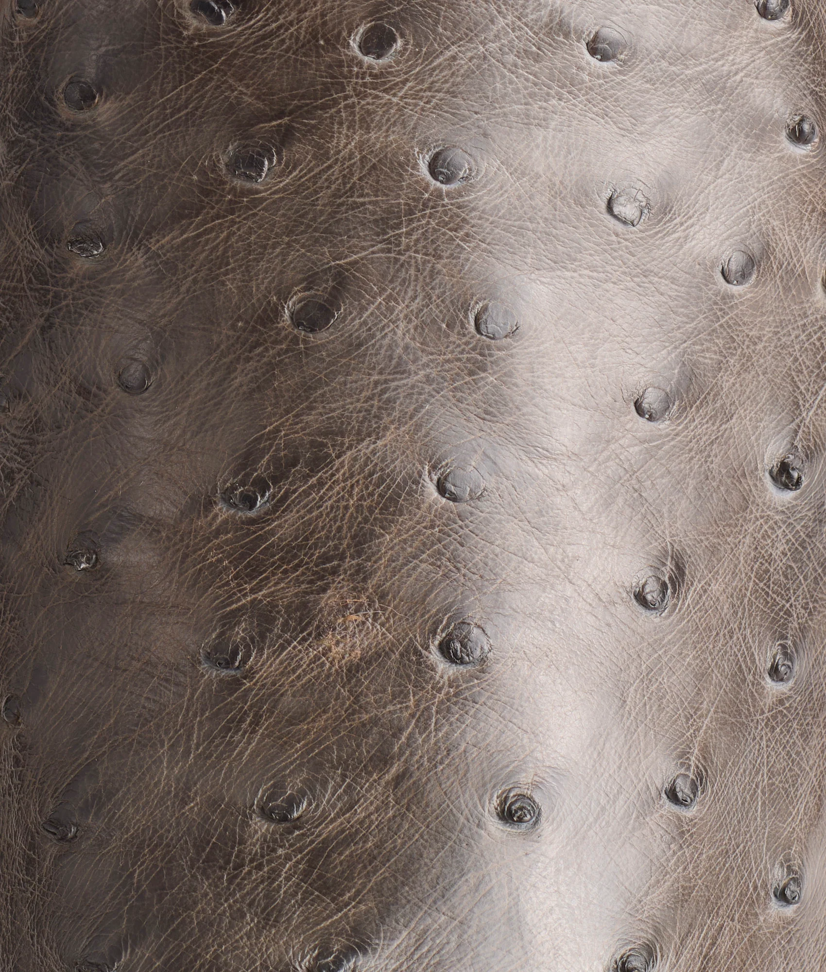 Cliff :: Anthracite - Image 8