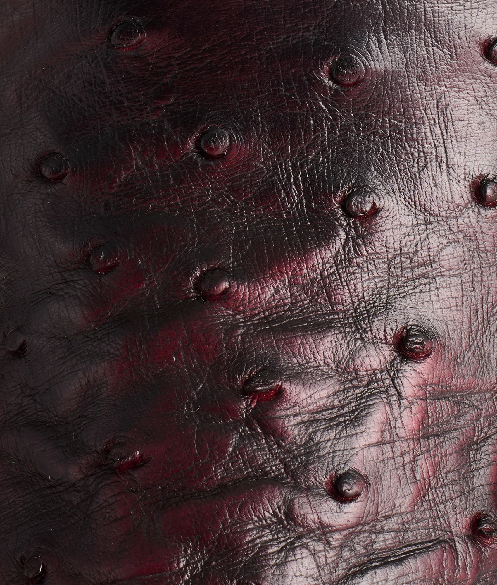 Cliff :: Black Cherry + Black - Image 10