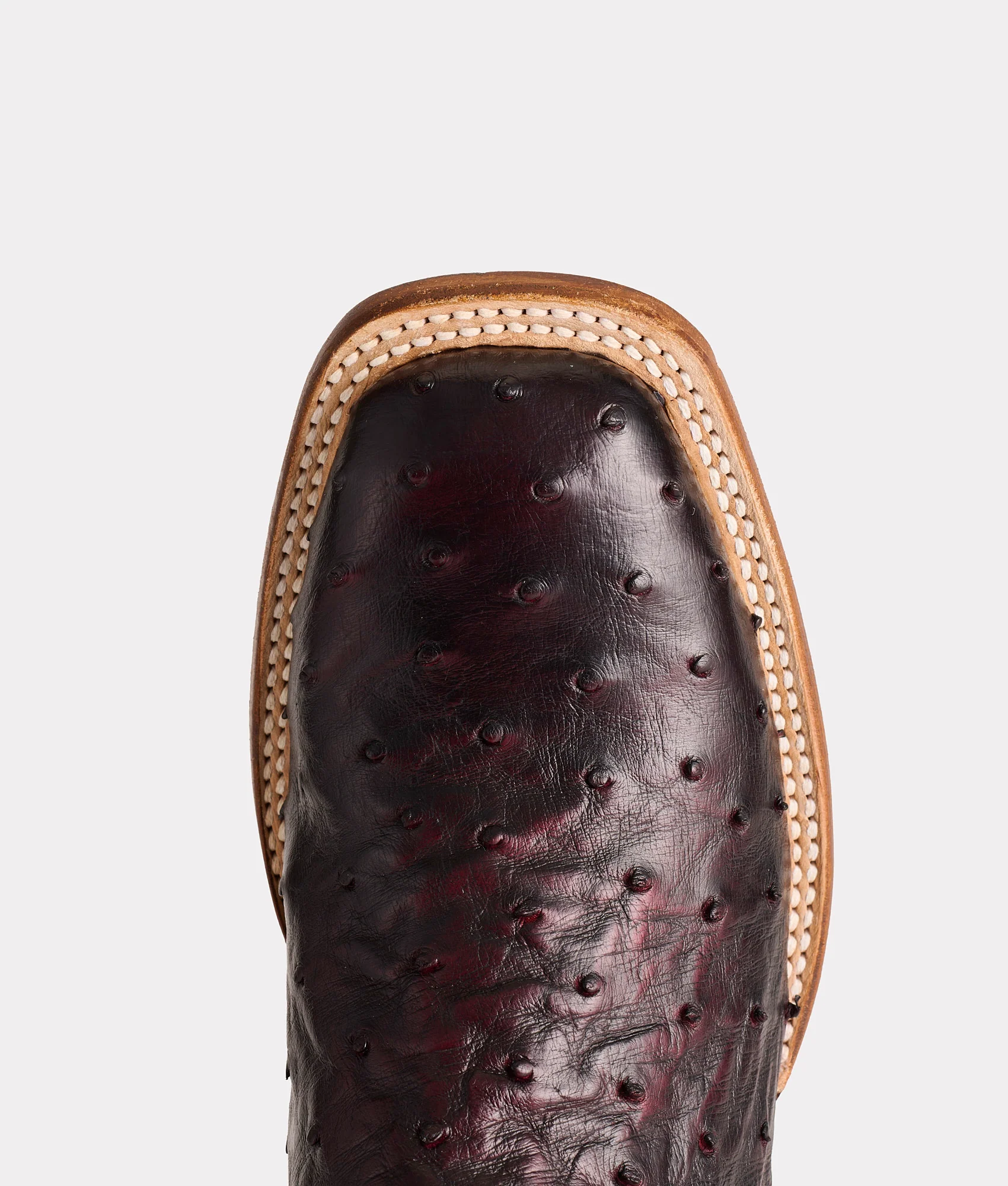 Cliff :: Black Cherry + Black - Image 8