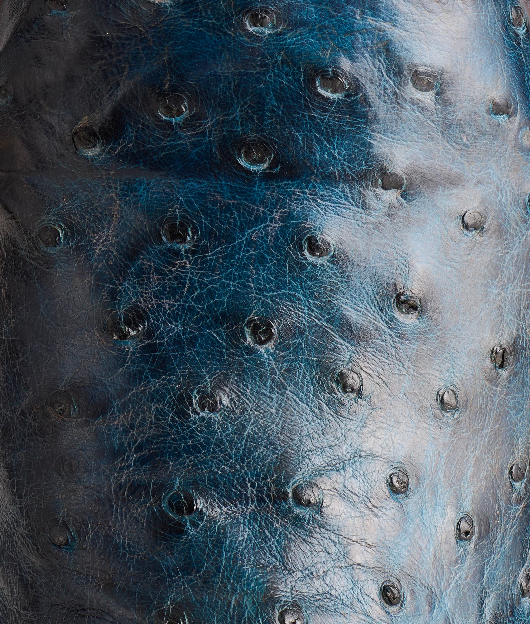 Cliff :: Navy + Chocolate - Image 8