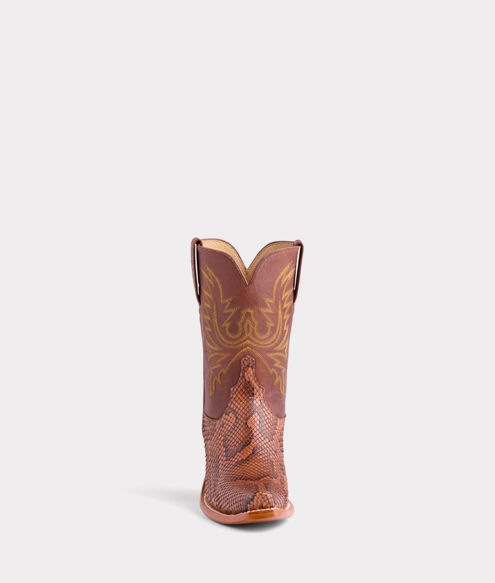 Dale Exotic :: Amber - Image 4