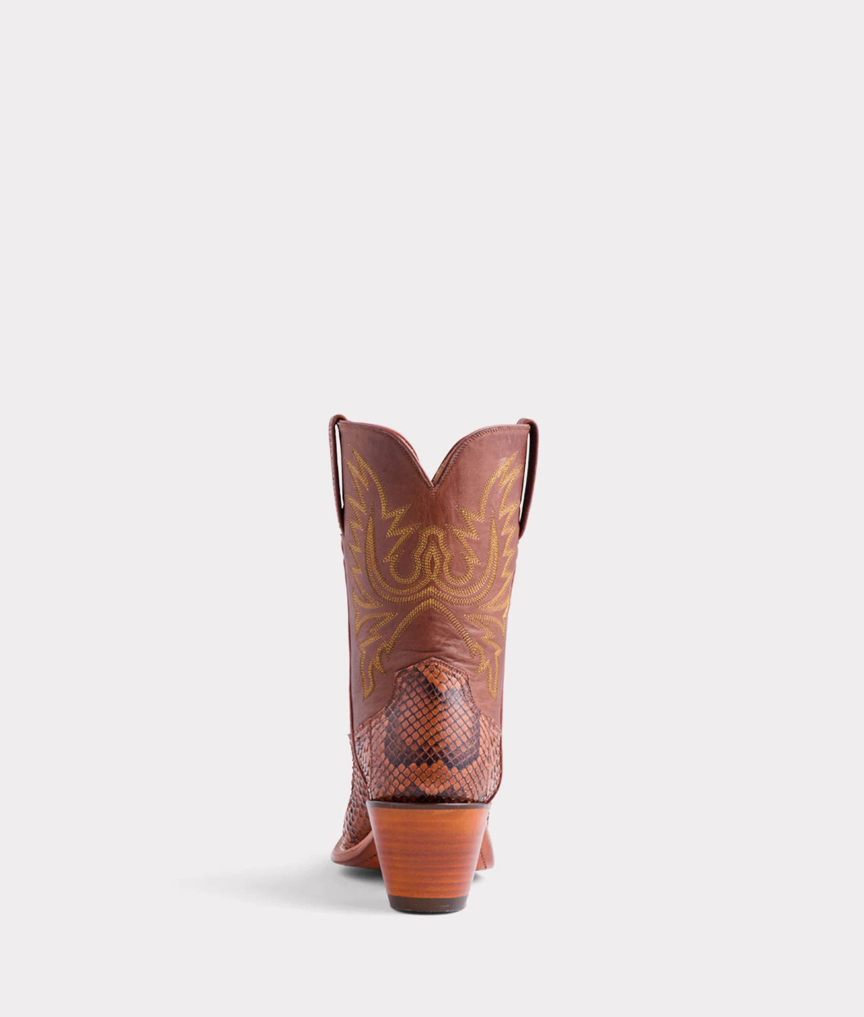 Dale Exotic :: Amber - Image 5