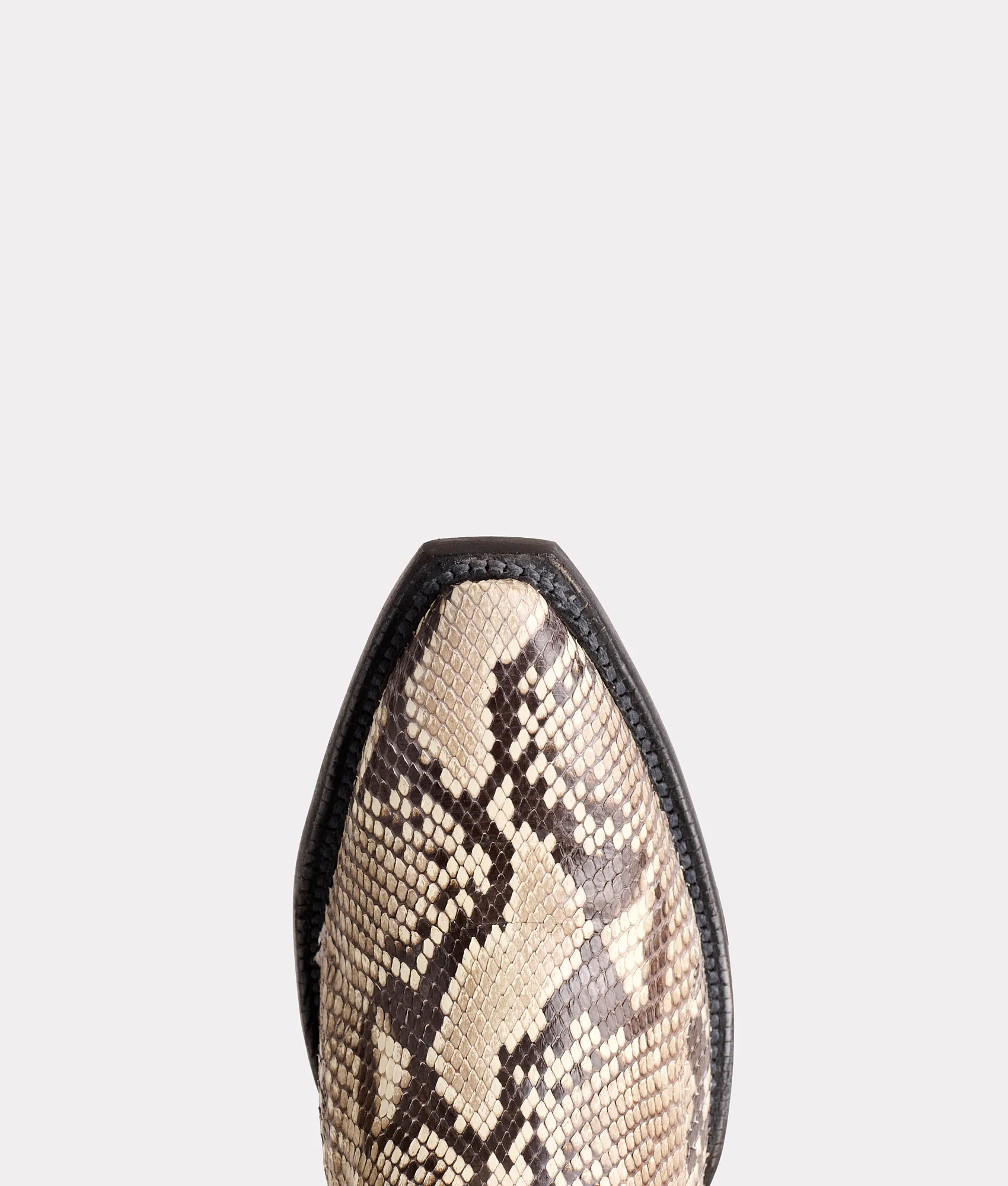 Dale Exotic :: Black/White + Black - Image 7