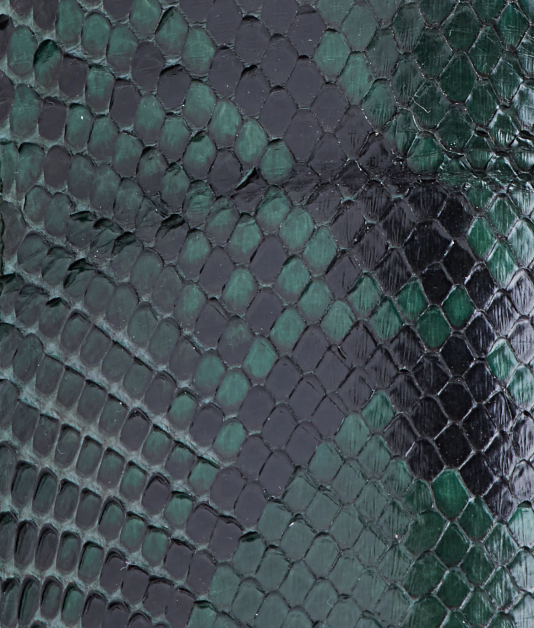 Dale Exotic :: Emerald - Image 10