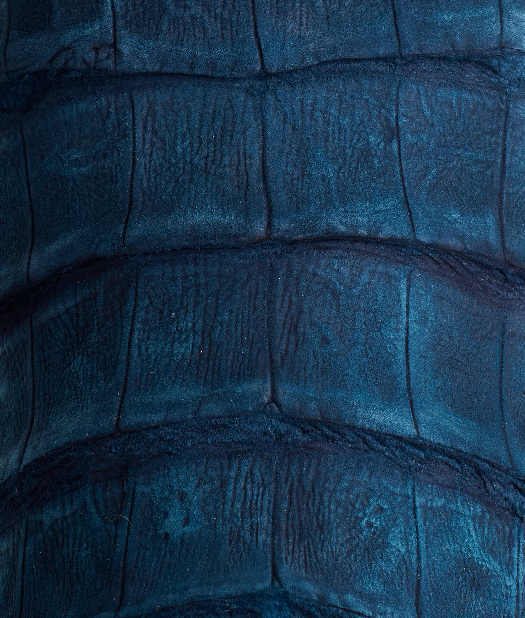 Dale Exotic :: Navy - Image 10