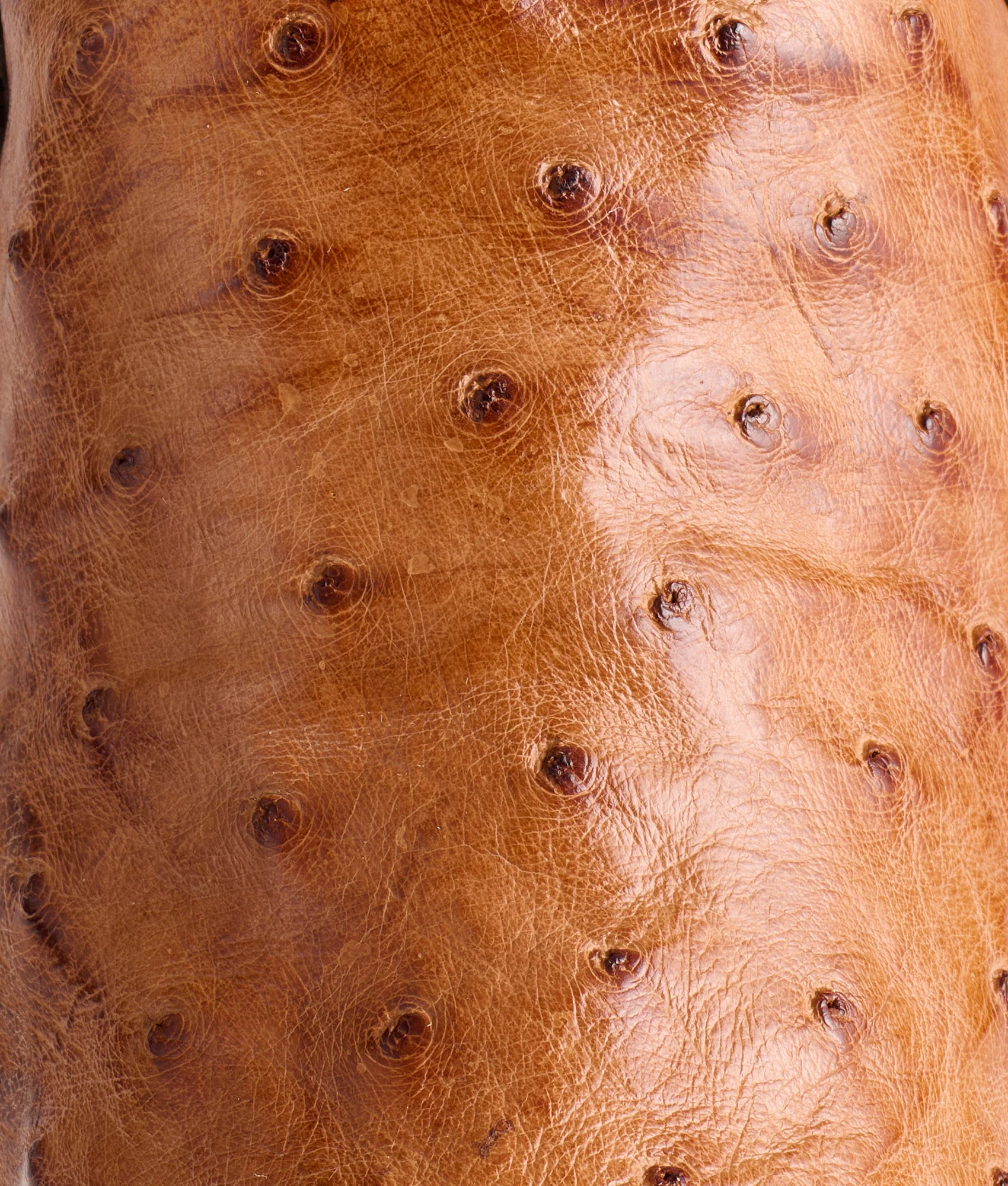 Dolly :: Barnwood + Tan - Image 8