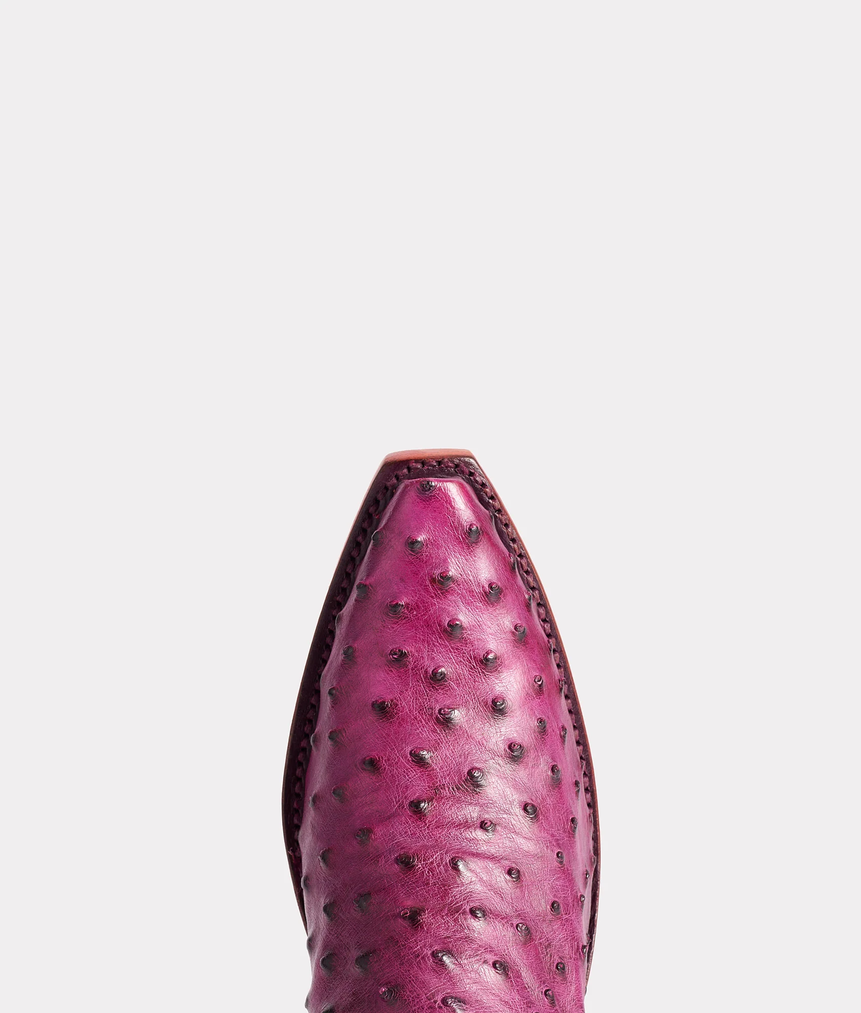 Dolly :: Plum - Image 7
