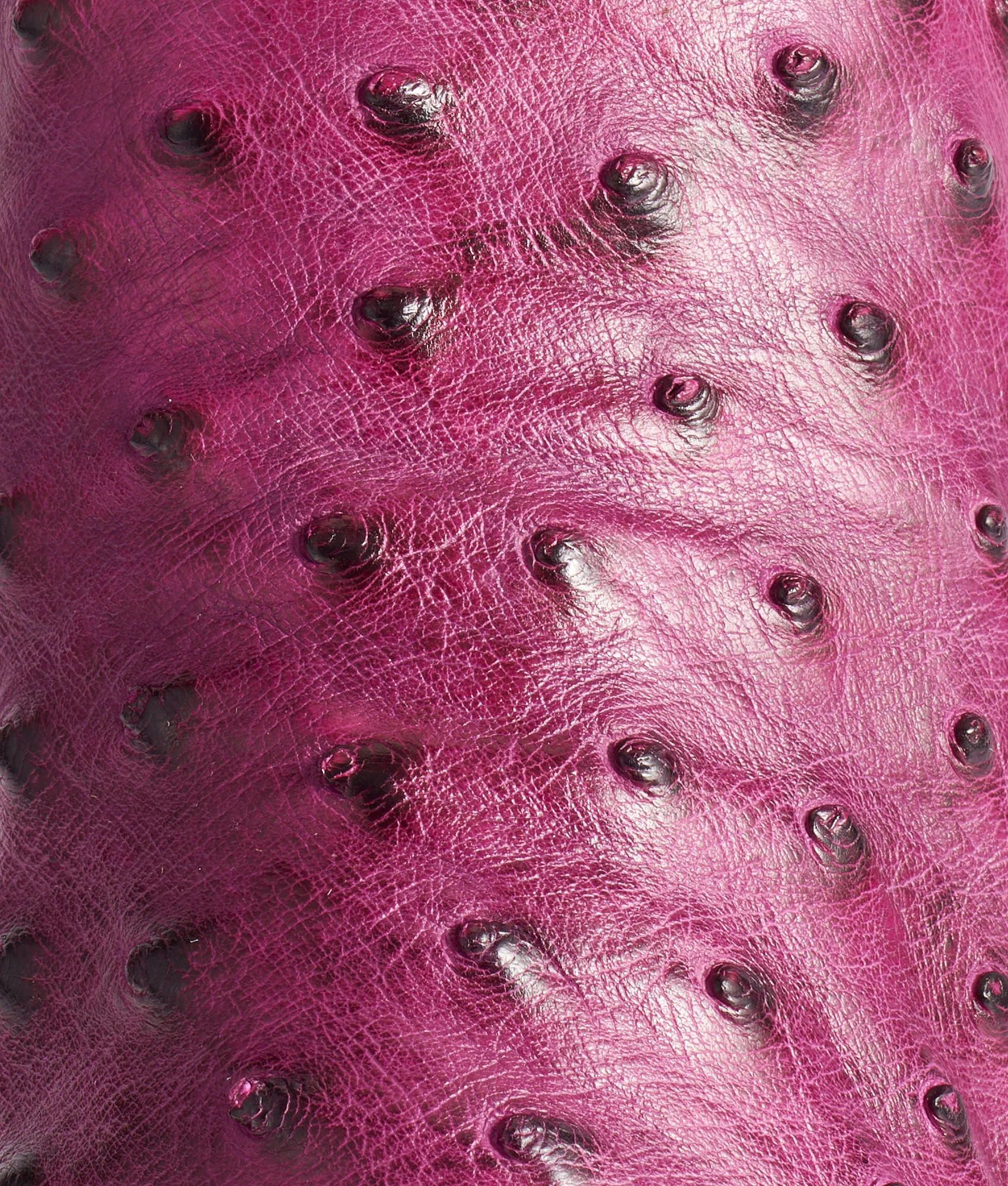 Dolly :: Plum - Image 8