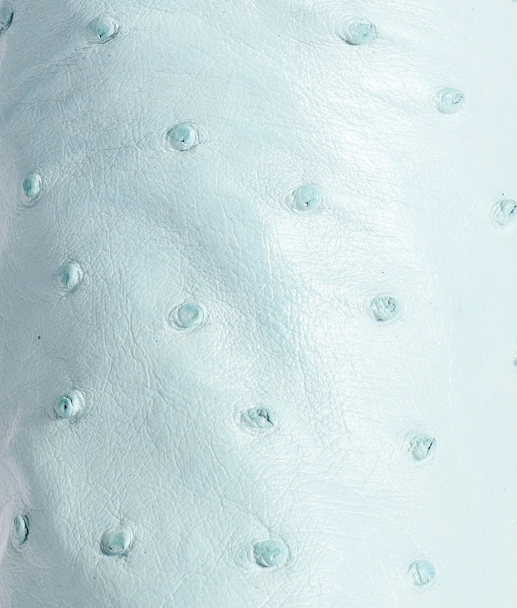 Dolly :: Sky Blue - Image 8