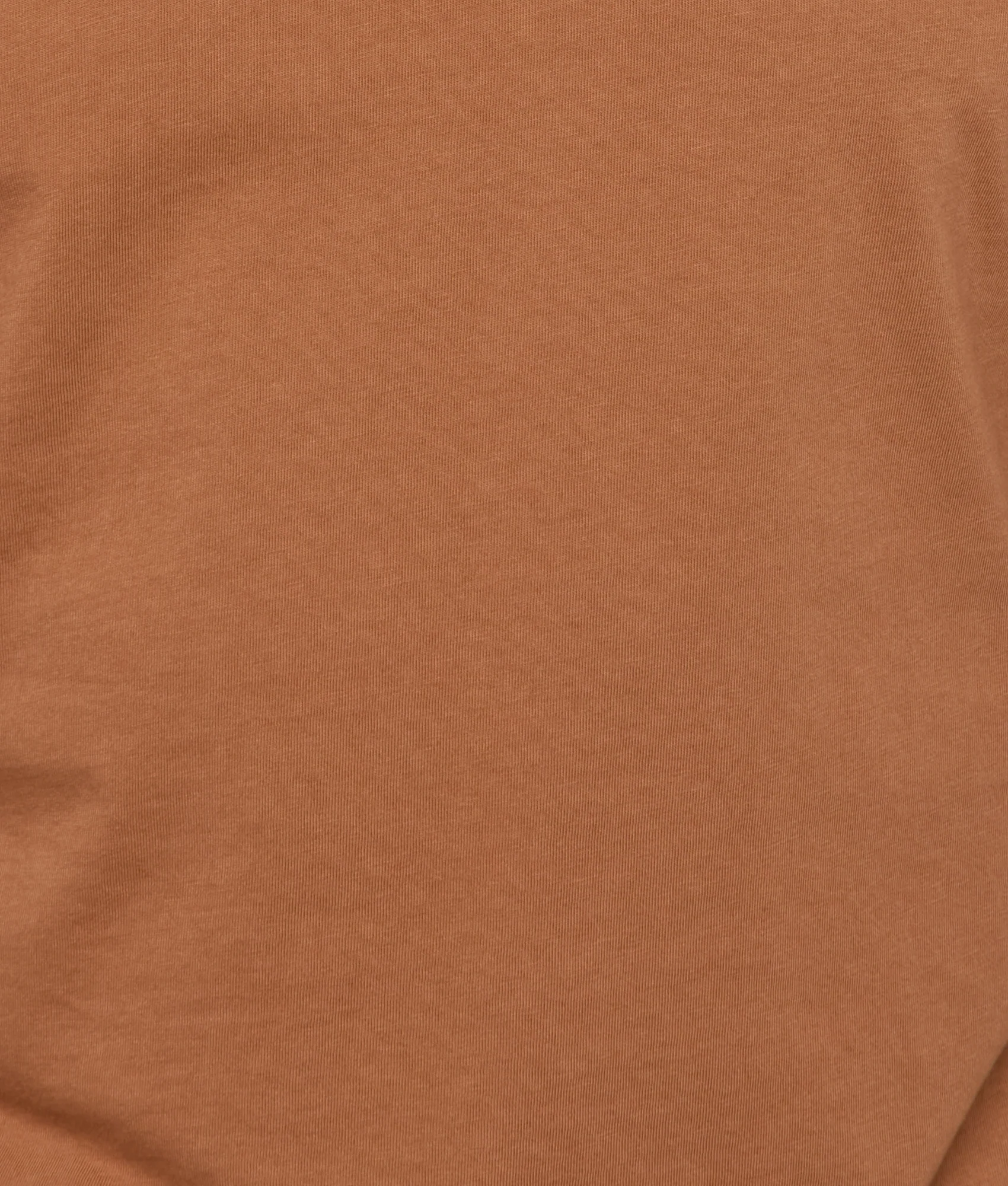 Eagle Stamp Tee :: Brown - Image 3