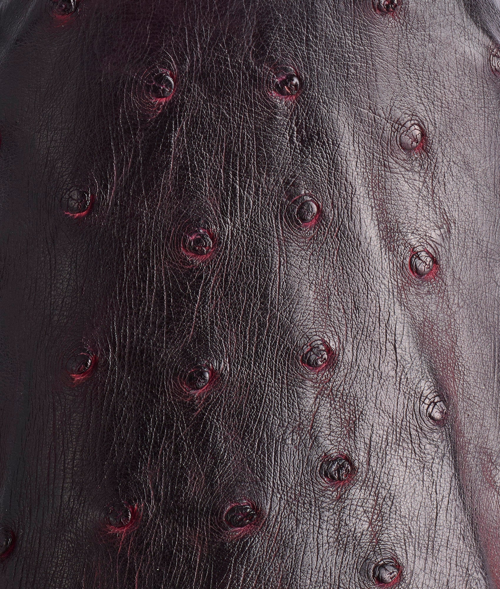 Elgin :: Black Cherry + Black - Image 10