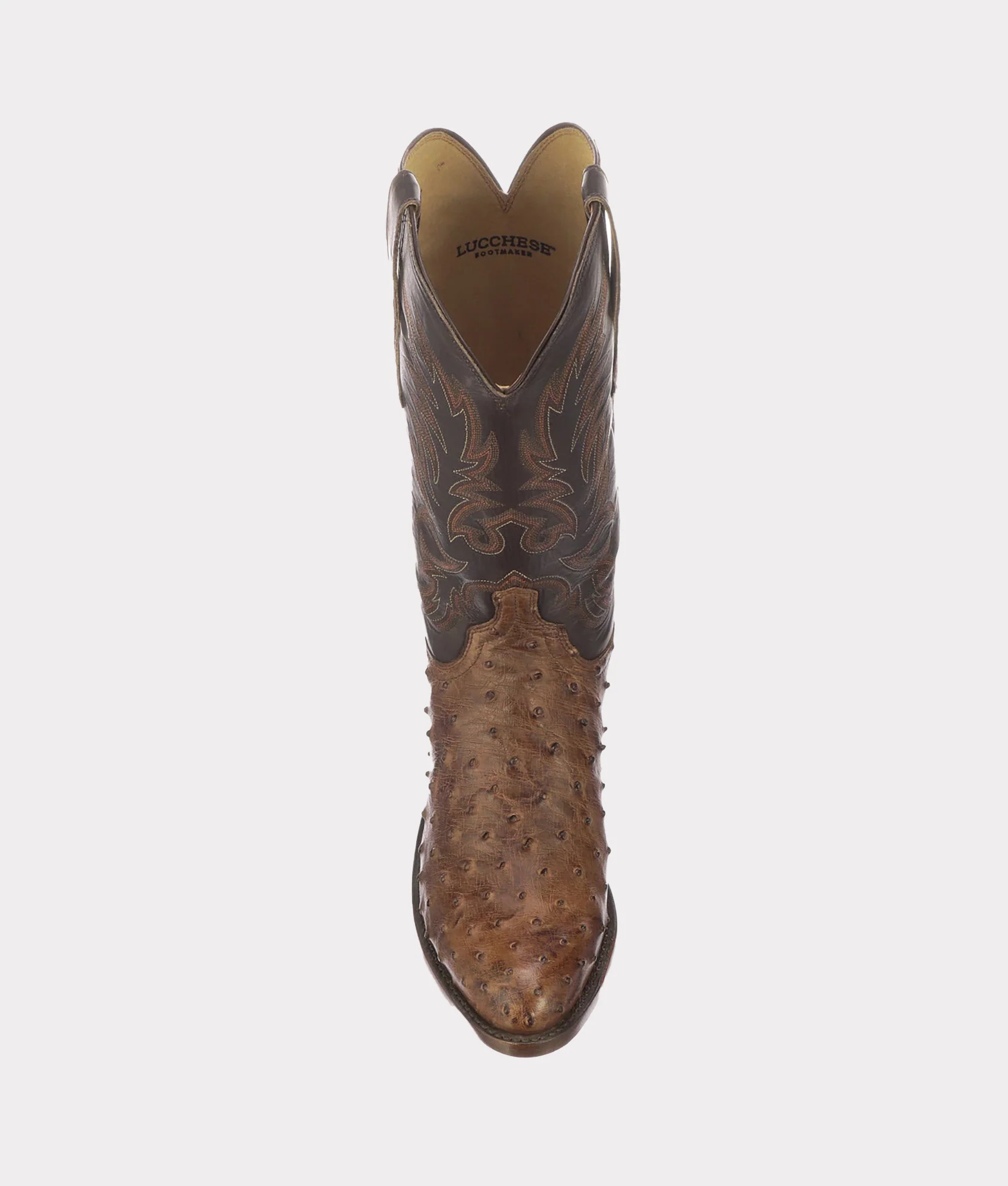 Elgin :: Chocolate - Image 10