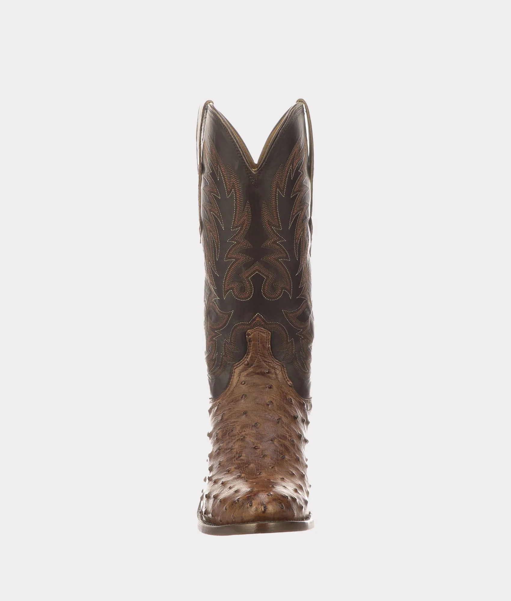 Elgin :: Chocolate - Image 11
