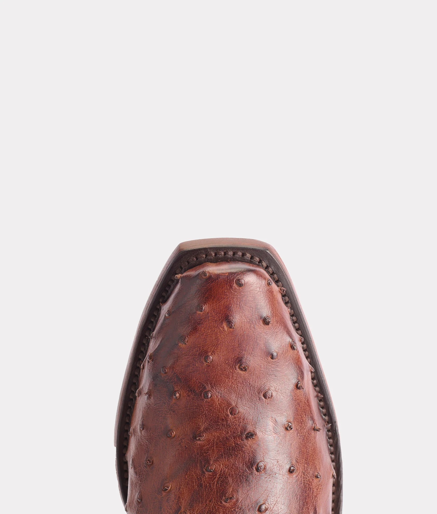 Elgin :: Chocolate - Image 7