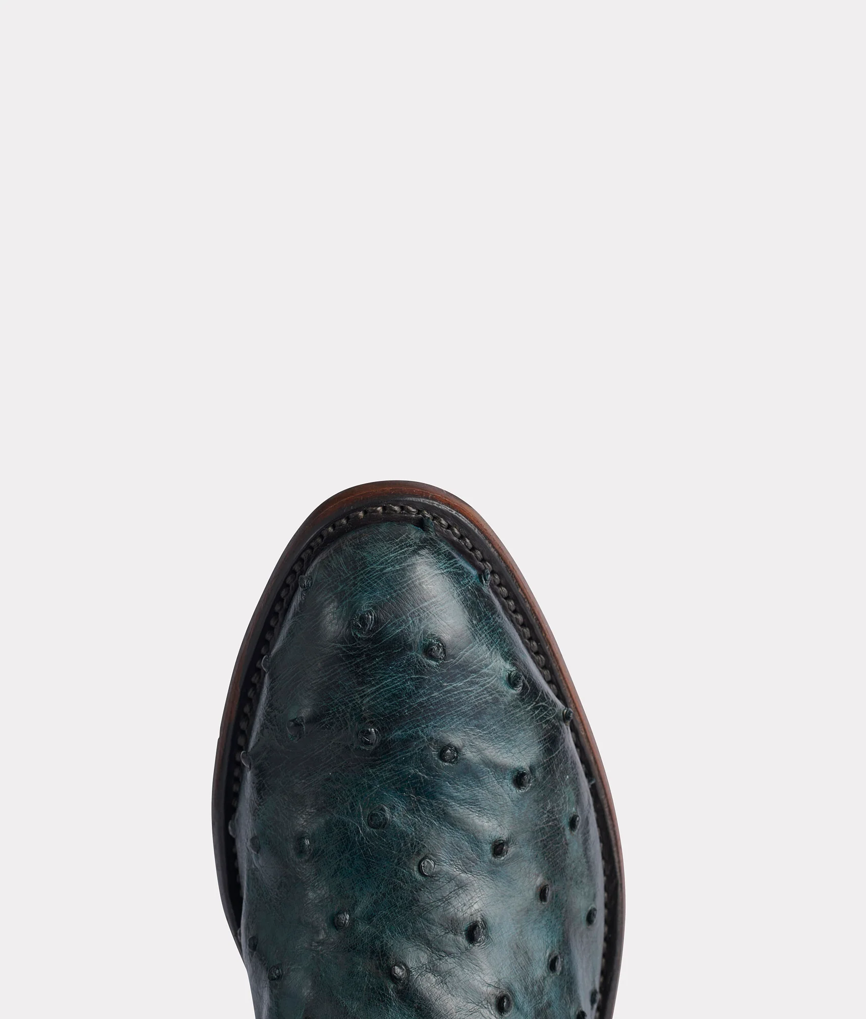Elgin :: Navy + Black - Image 7
