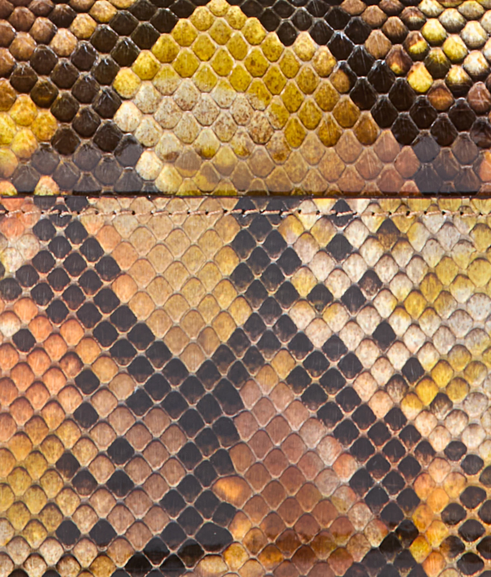 Exotic Long Wallet On A Chain :: Multi Python - Image 7