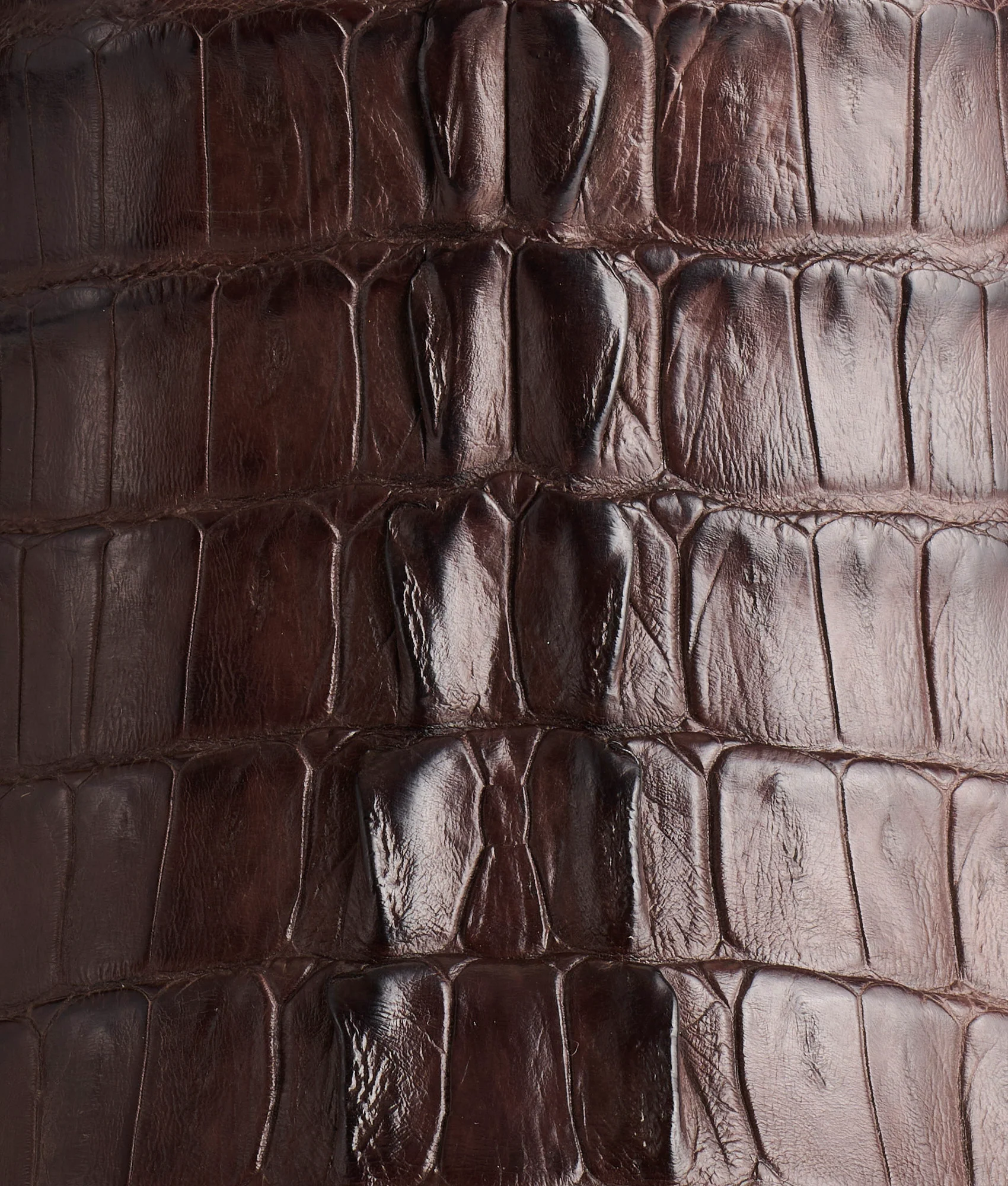 Franklin :: Barrel Brown + Chocolate - Image 8