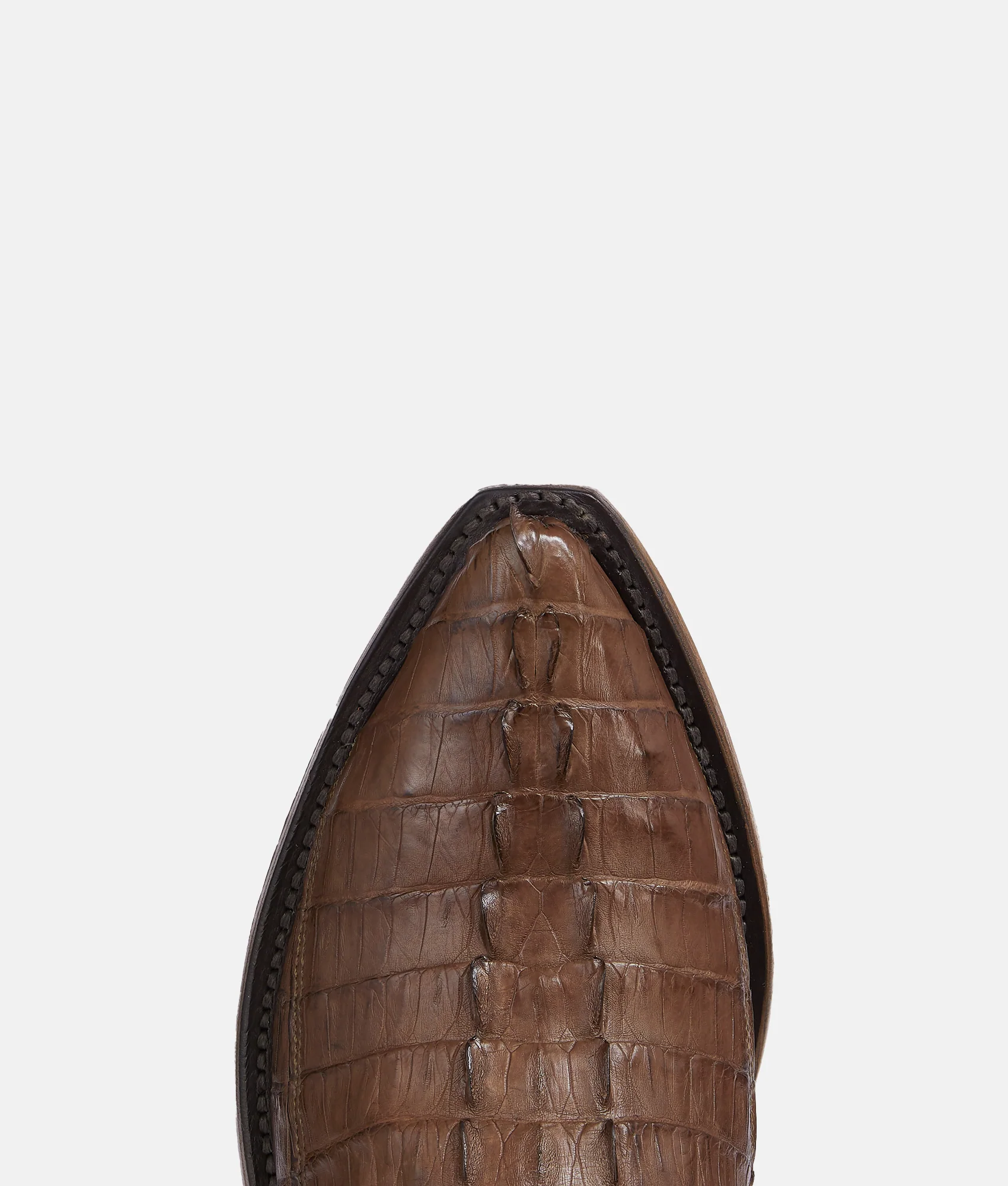 Franklin :: Tan - Image 6