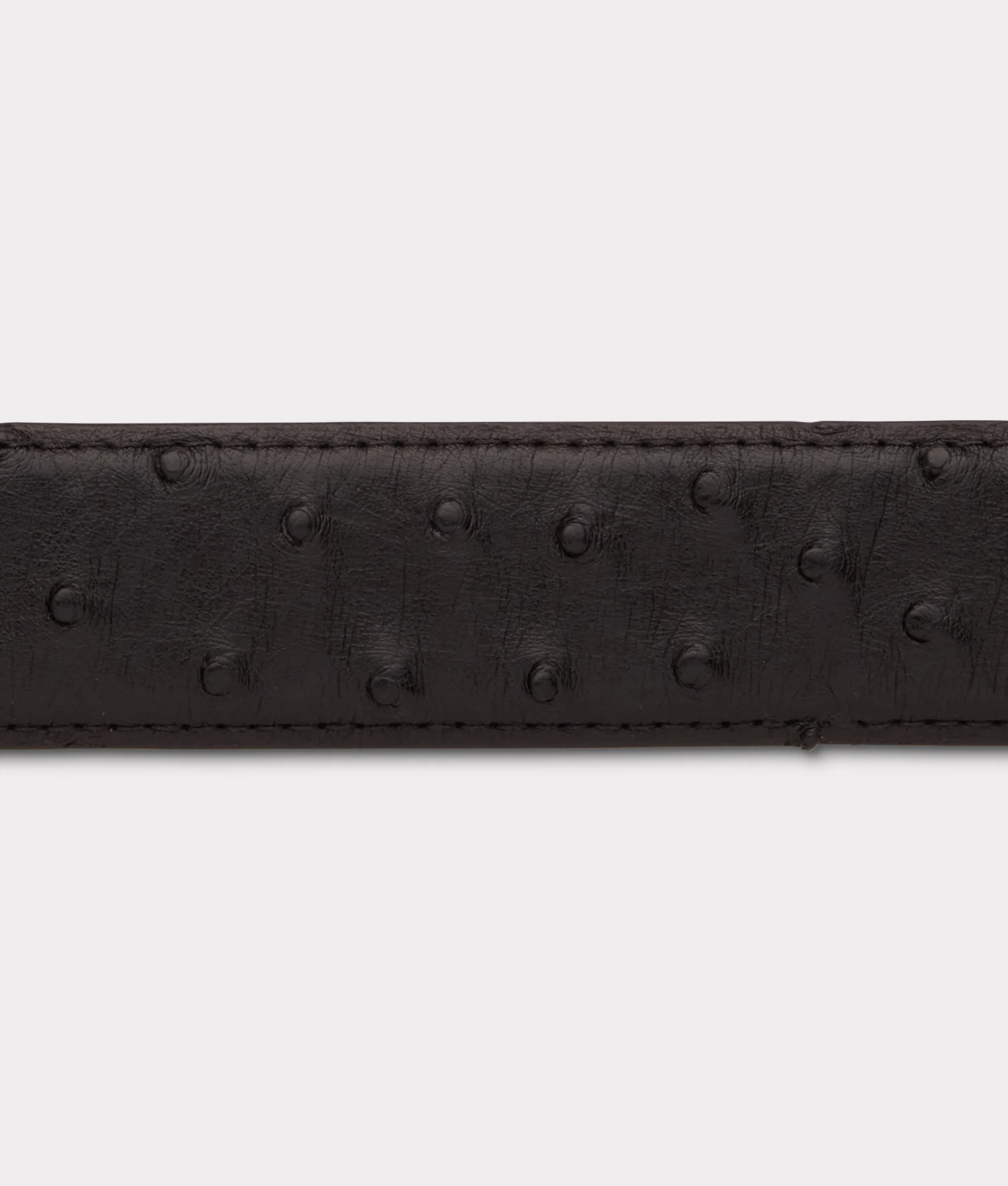 Full Quill Ostrich :: Black - Image 6