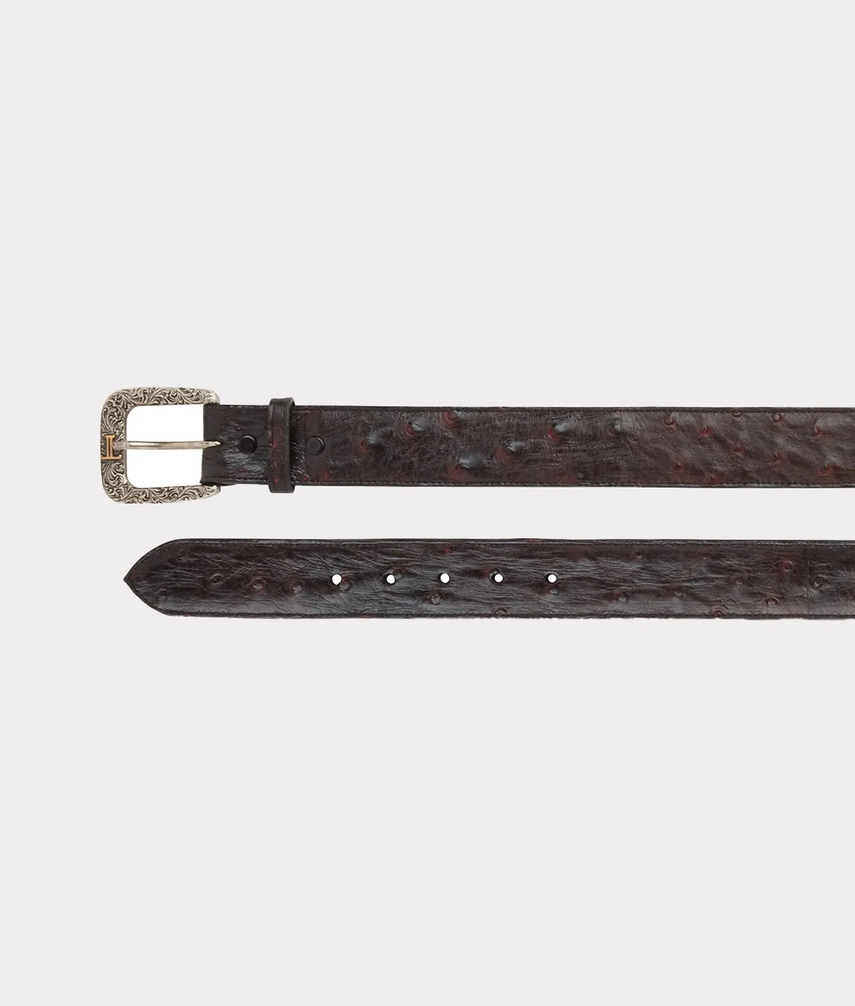 Full Quill Ostrich :: Black Cherry - Image 3