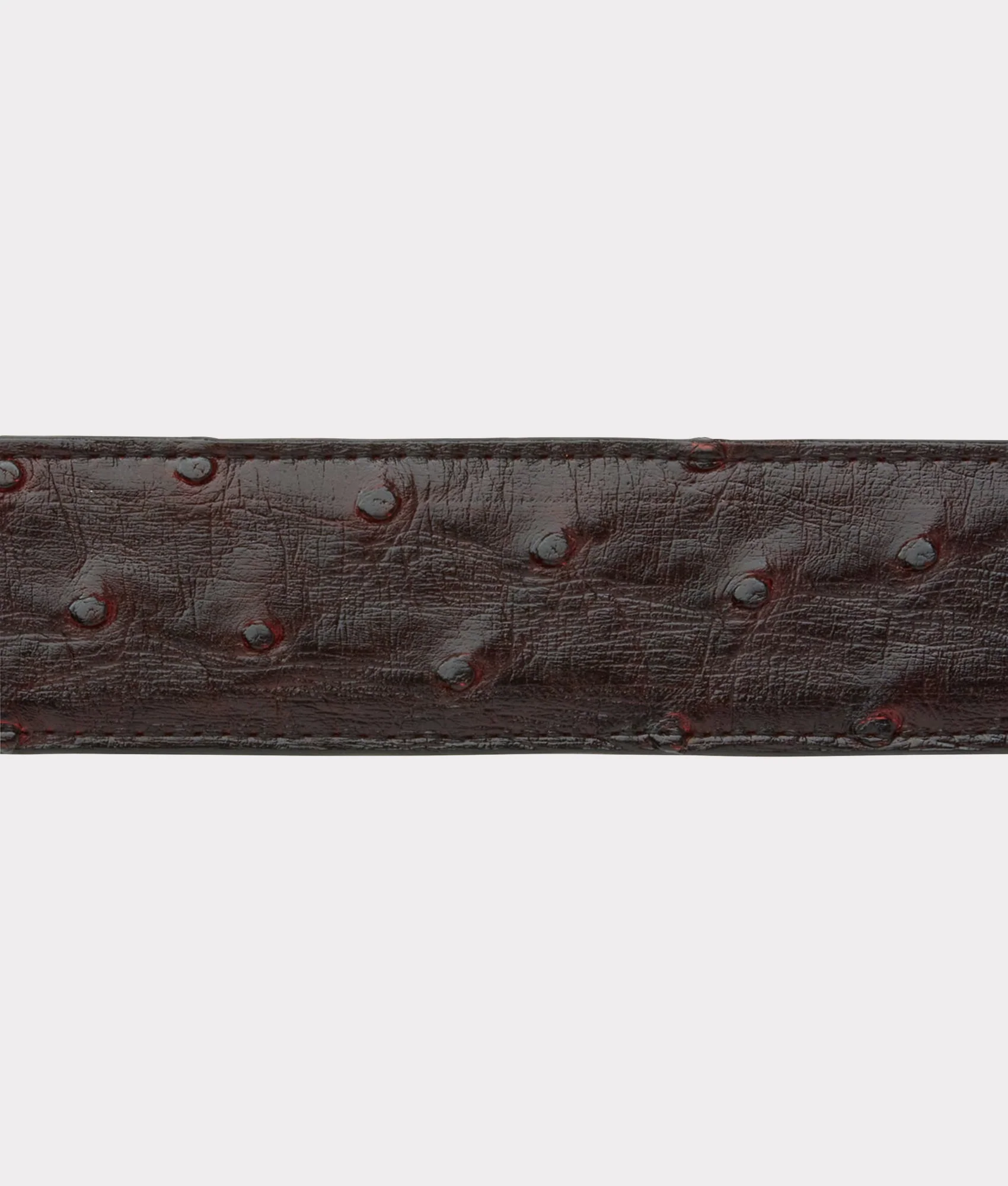 Full Quill Ostrich :: Black Cherry - Image 6