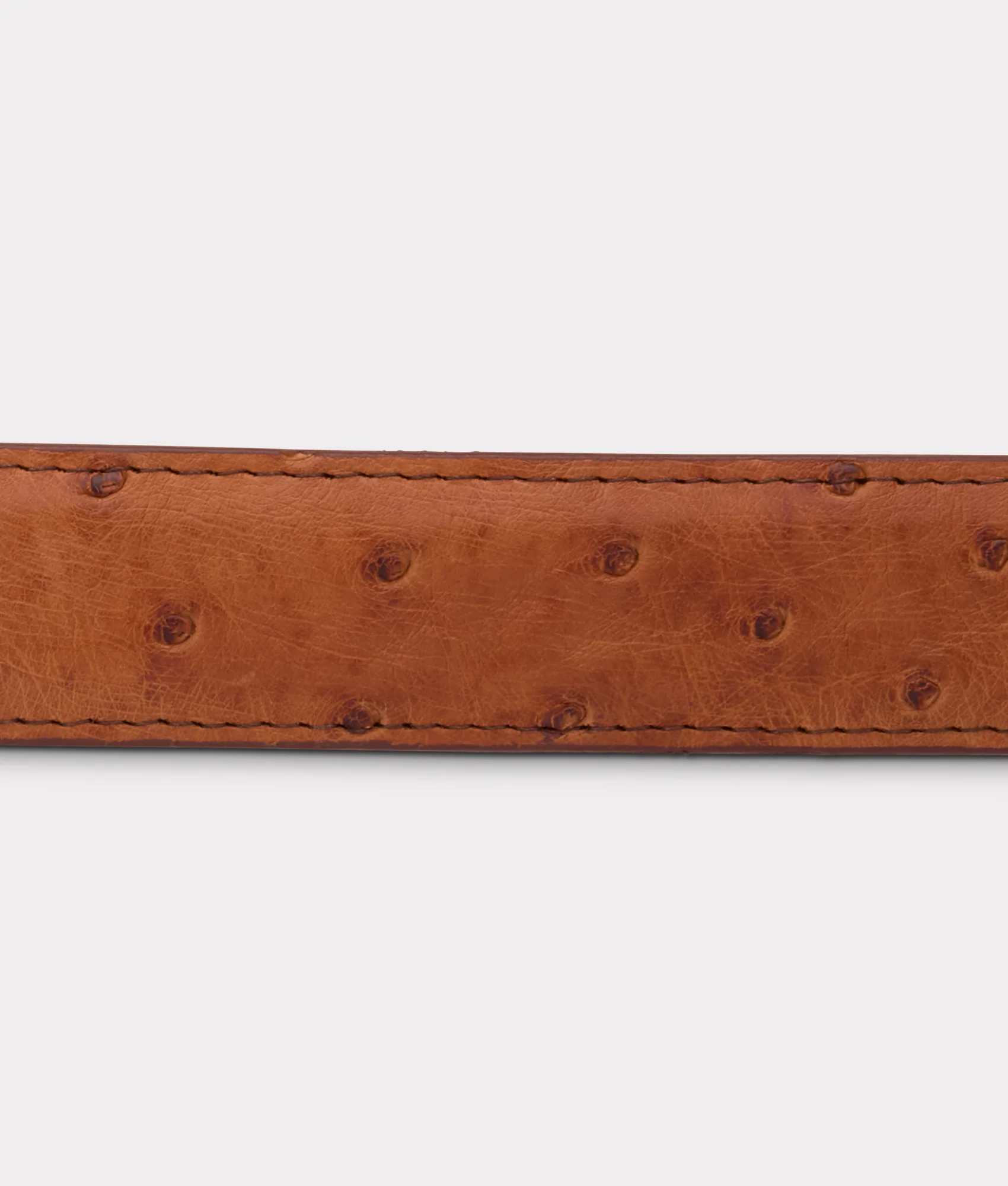 Full Quill Ostrich Tapered :: Barnwood - Image 4
