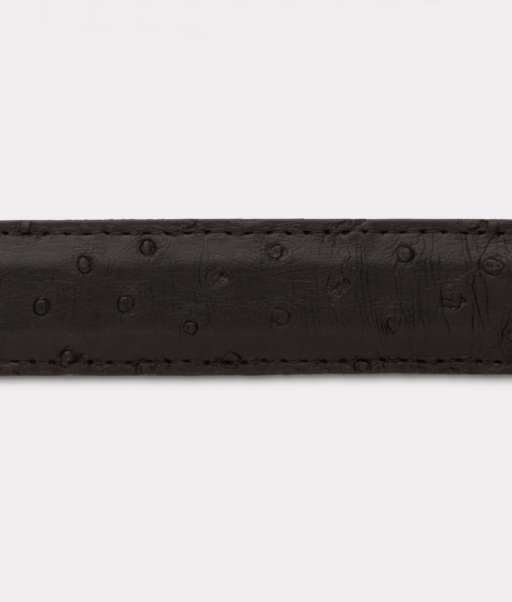 Full Quill Ostrich Tapered :: Black - Image 4