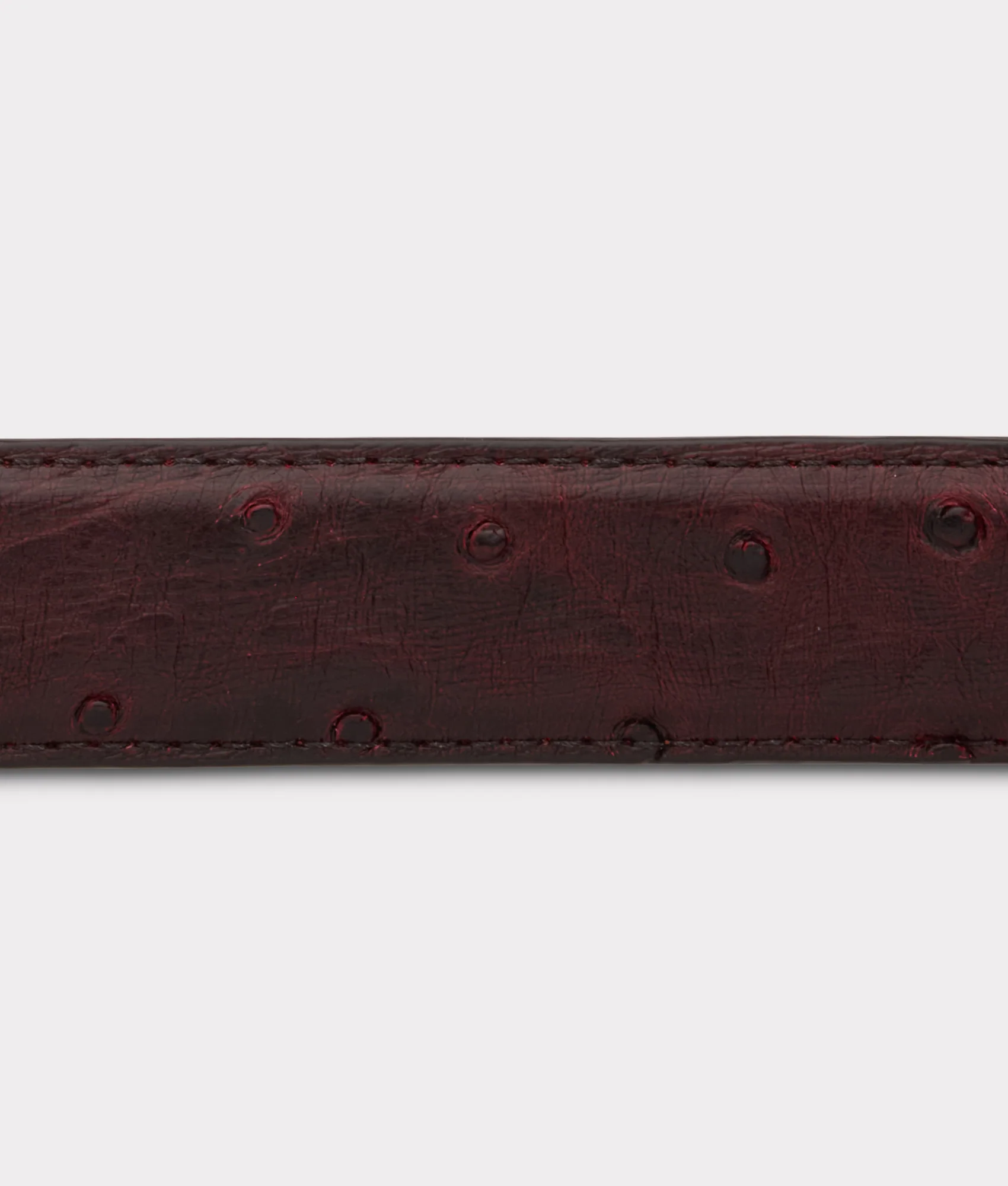 Full Quill Ostrich Tapered :: Black Cherry - Image 6